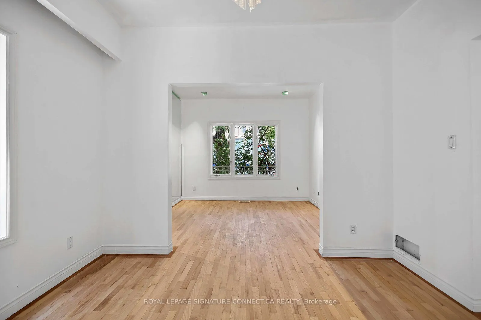 19 Mitchell Avenue, #Main