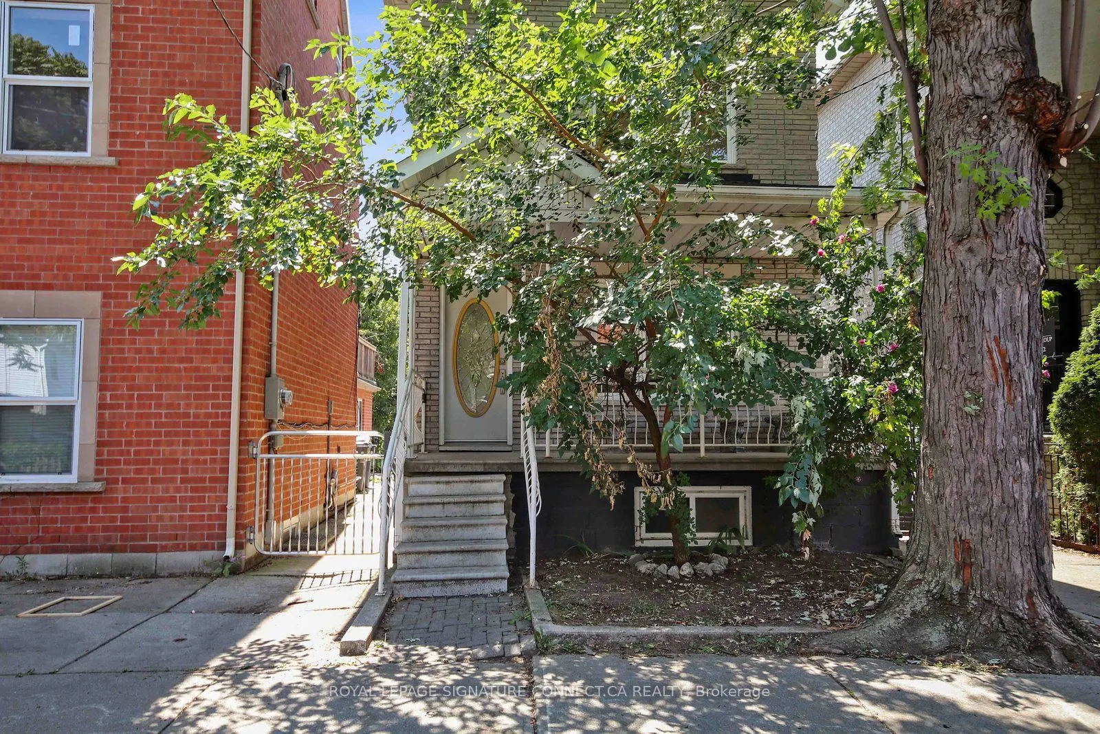 19 Mitchell Avenue, #Main