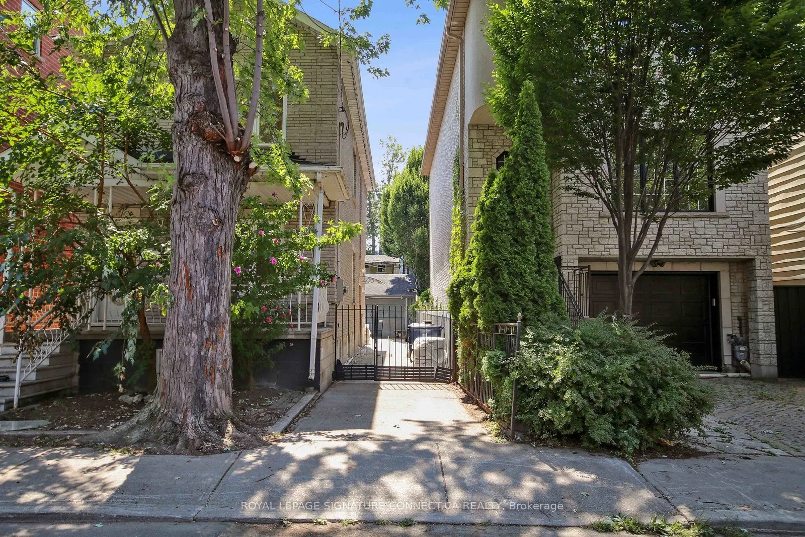 19 Mitchell Avenue, #Main