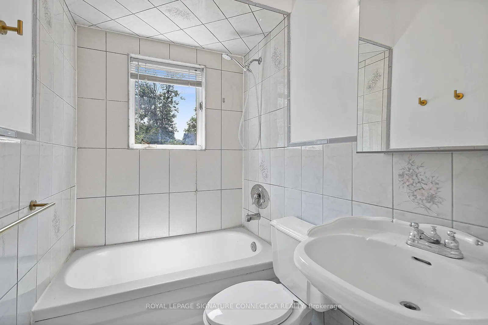 19 Mitchell Avenue, #Main