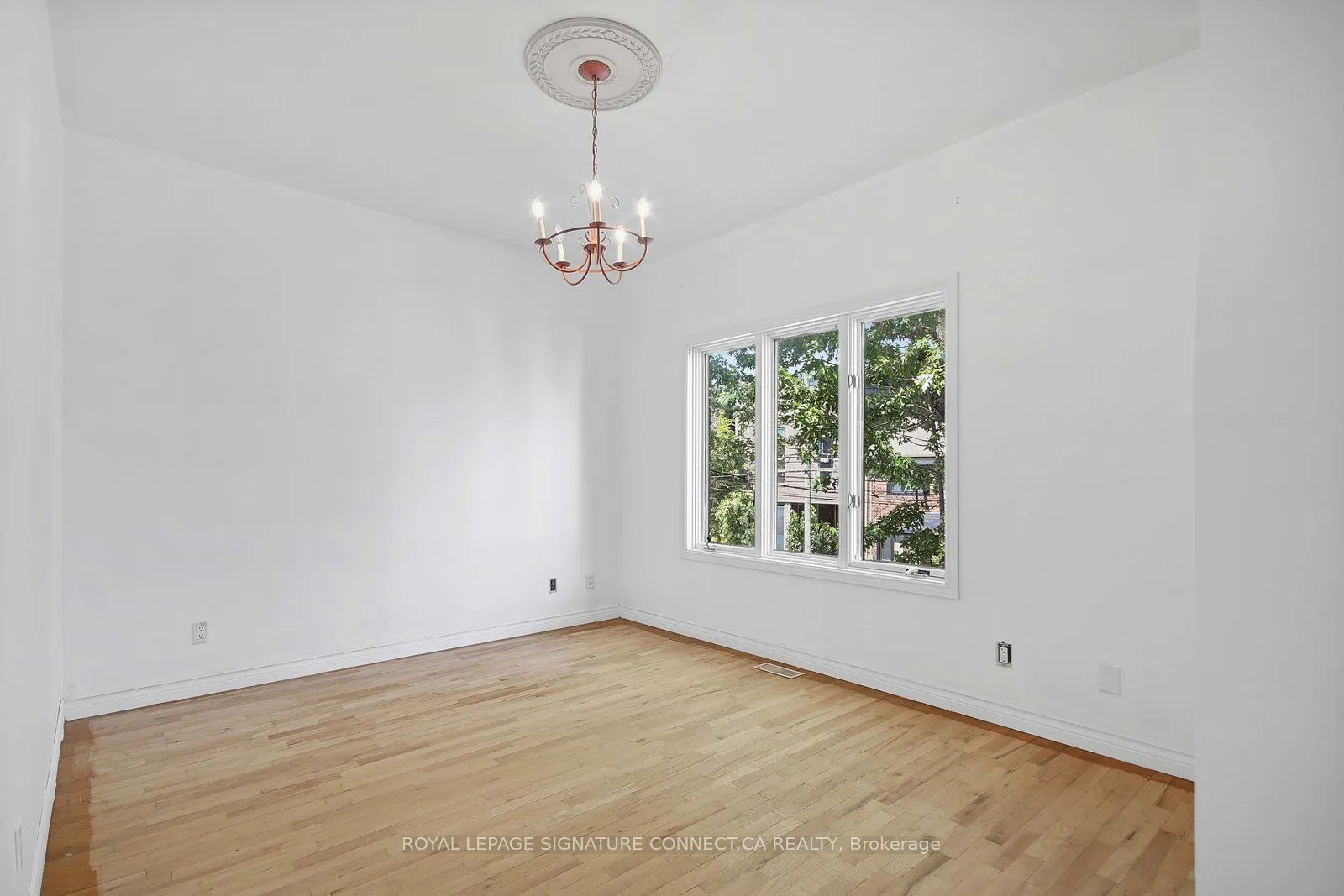 19 Mitchell Avenue, #Main