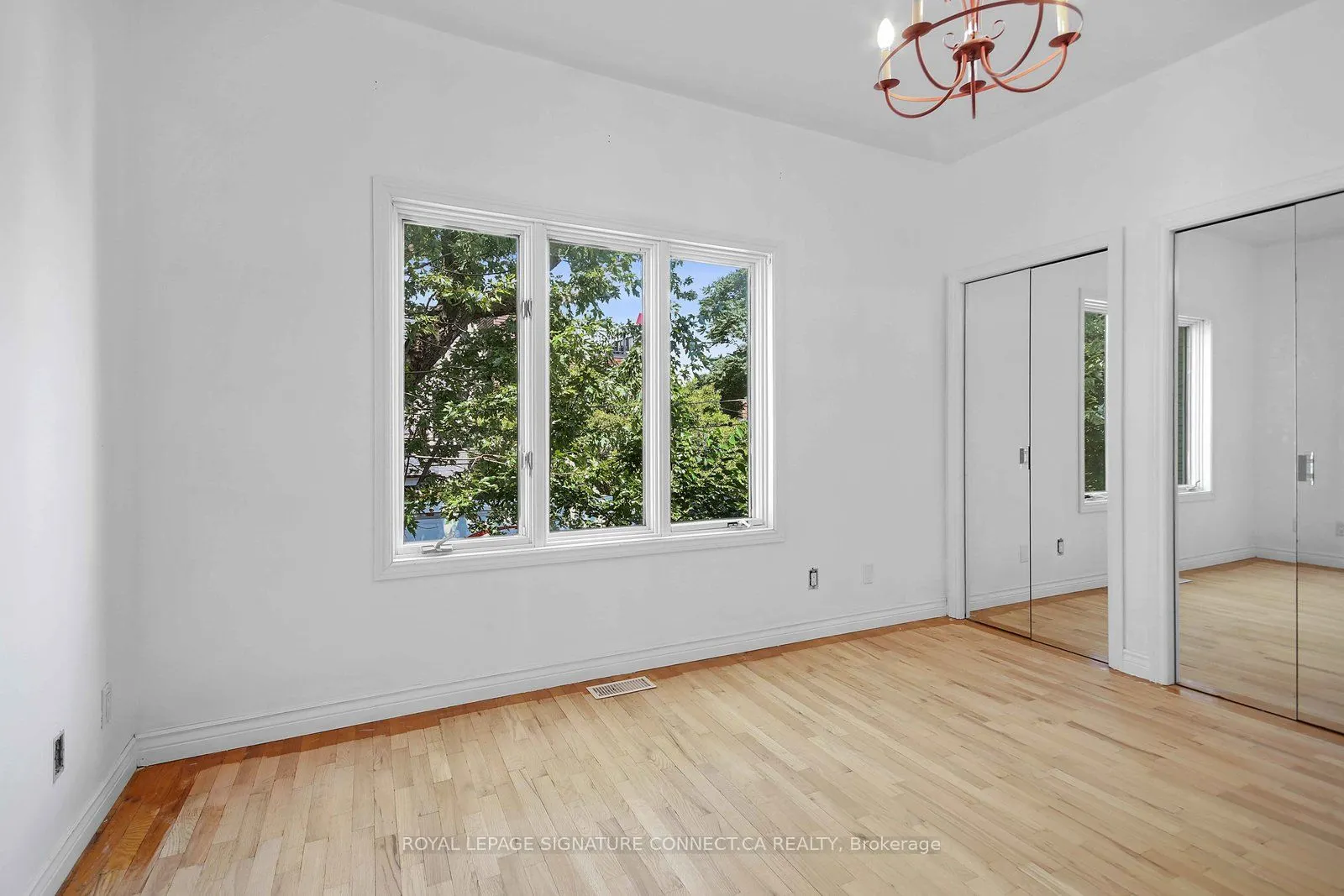 19 Mitchell Avenue, #Main