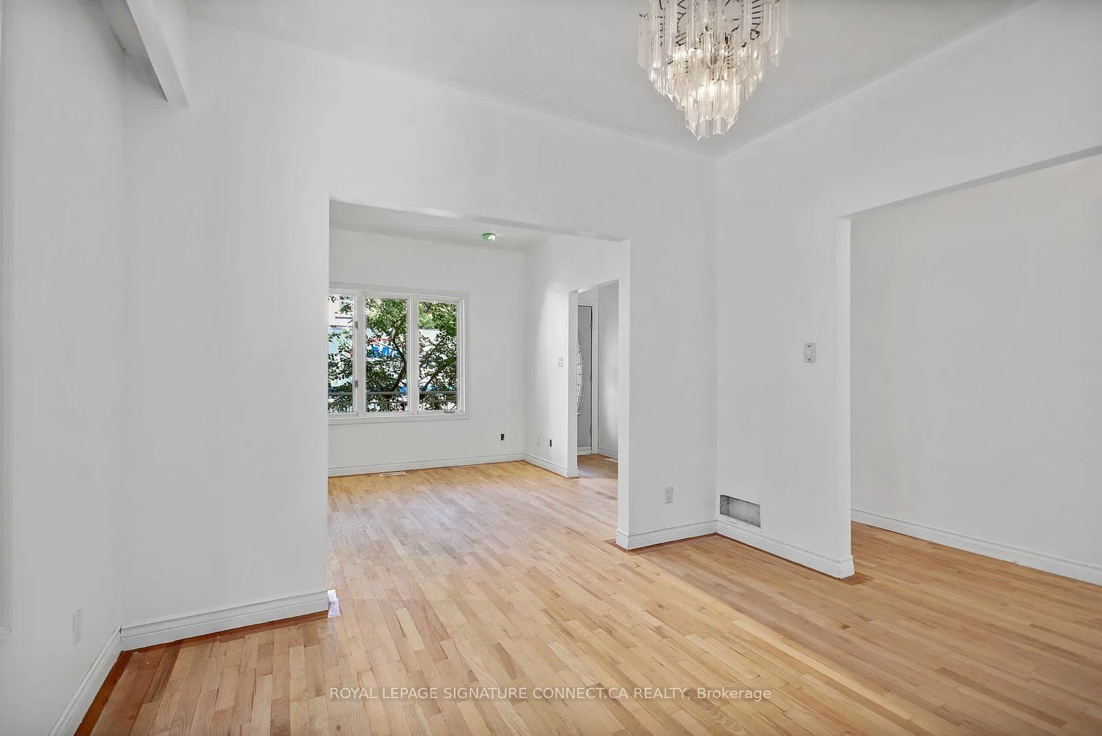 19 Mitchell Avenue, #Main