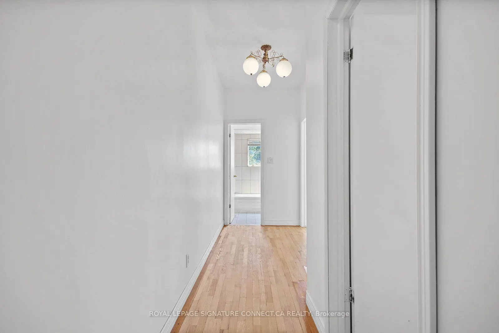 19 Mitchell Avenue, #Main