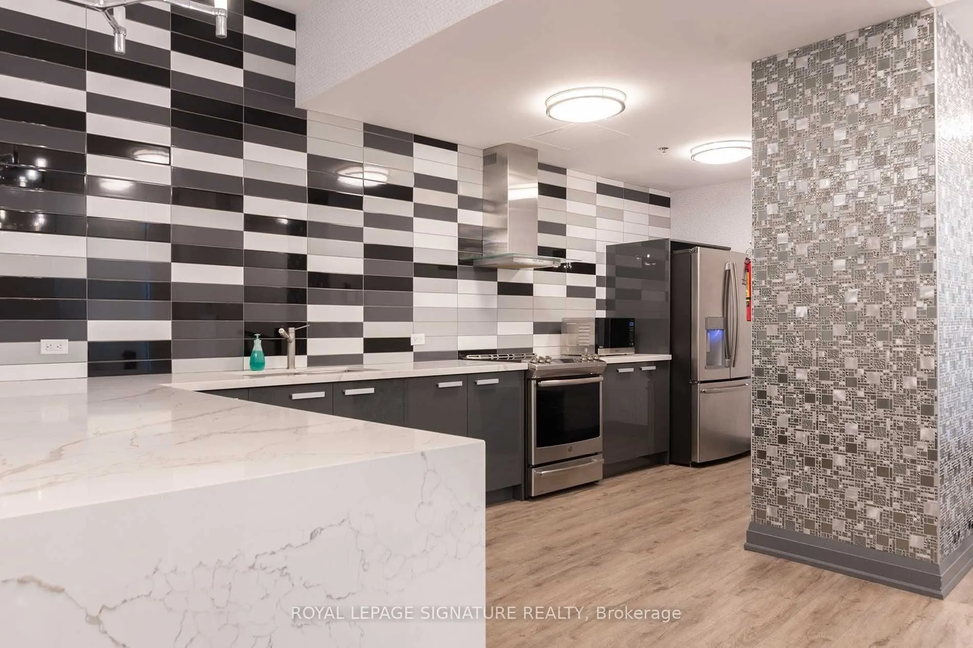 219 Fort York Boulevard, #3601