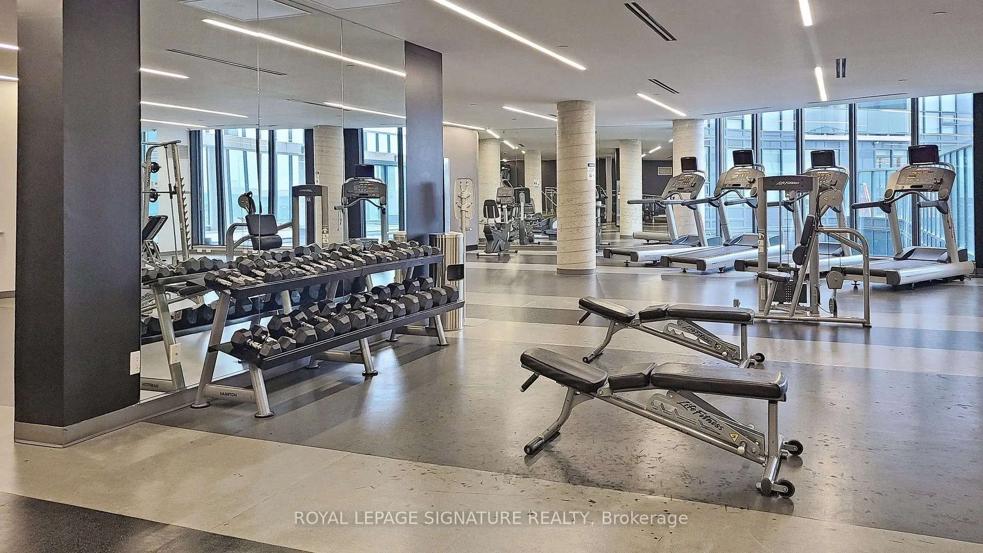 51 East Liberty Street, #1815