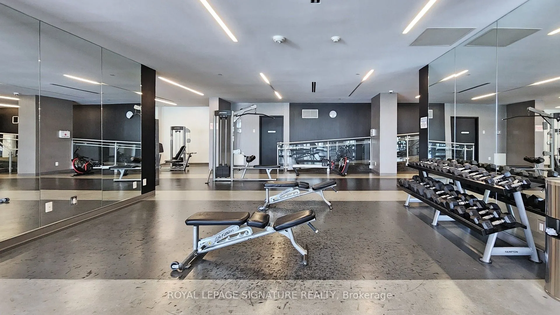 51 East Liberty Street, #1815