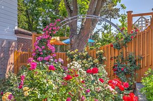 88 Cherrystone Drive