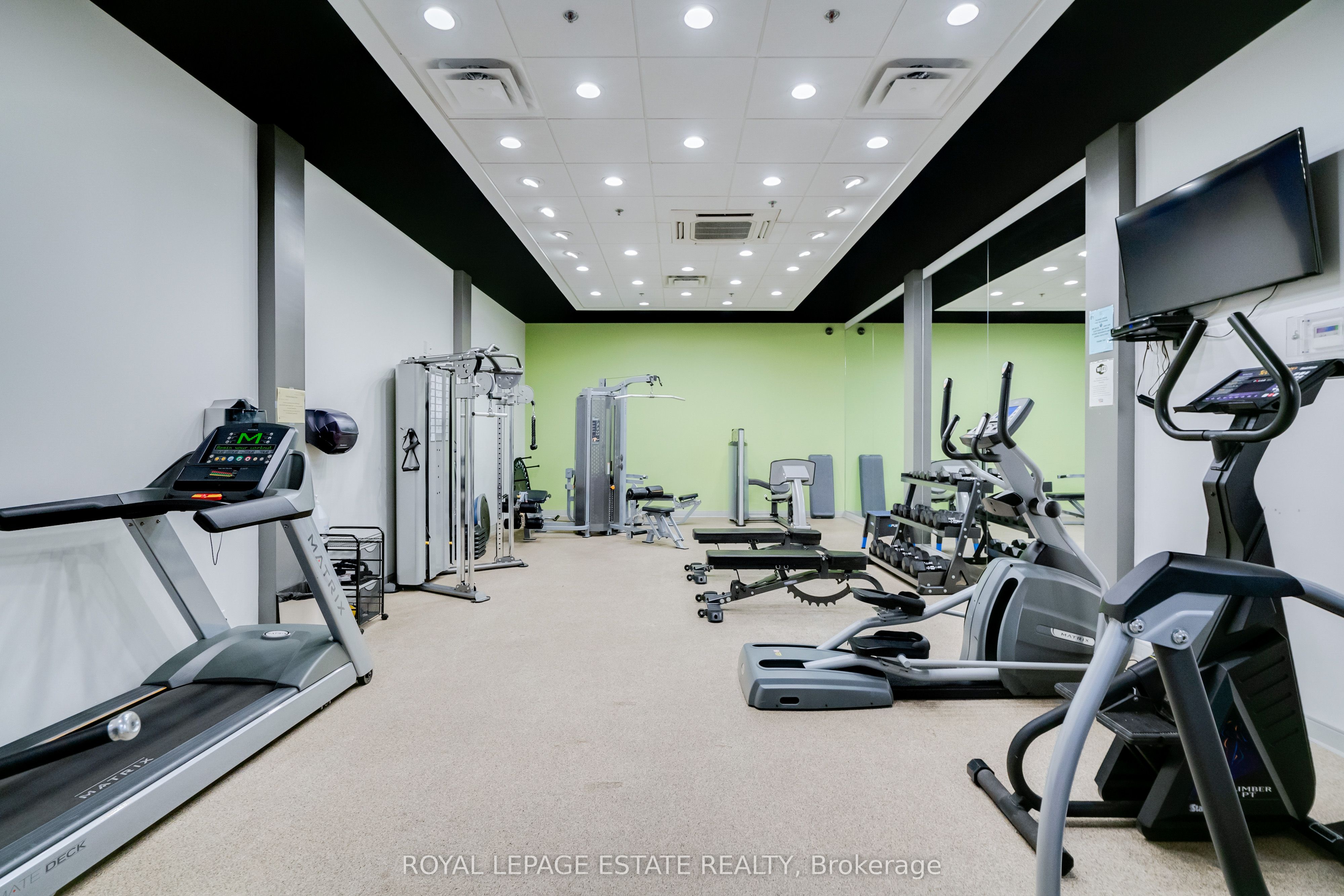 1055 Bay Street, #205