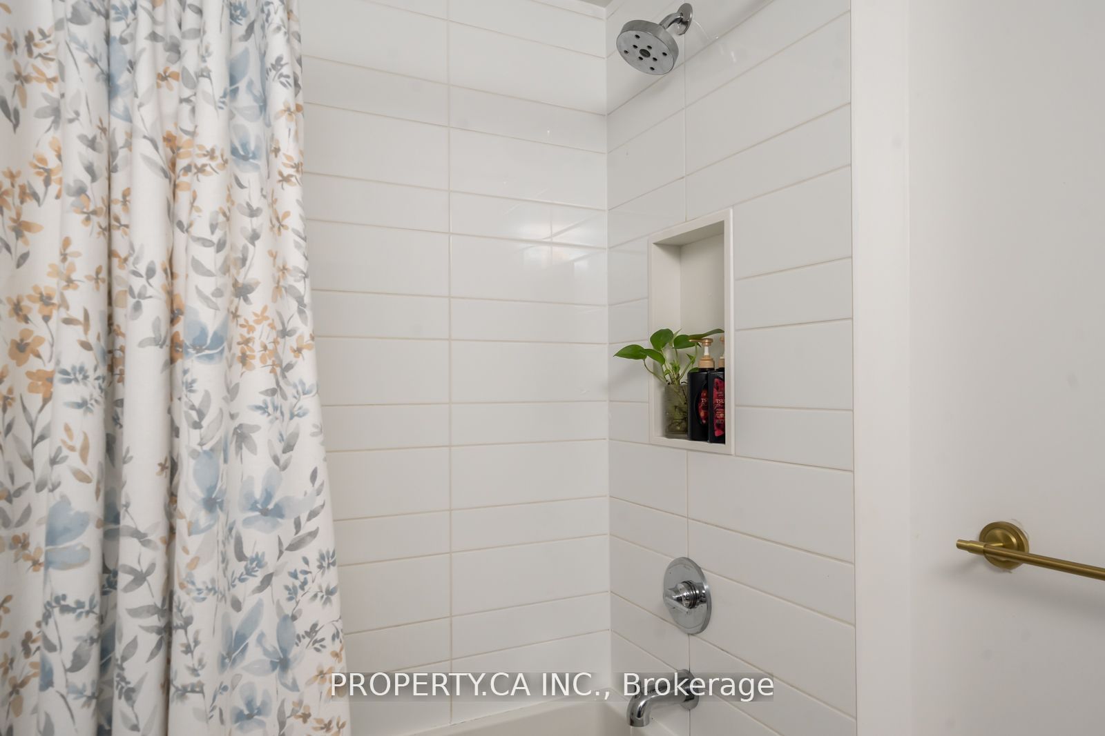 38 Iannuzzi Street, #304