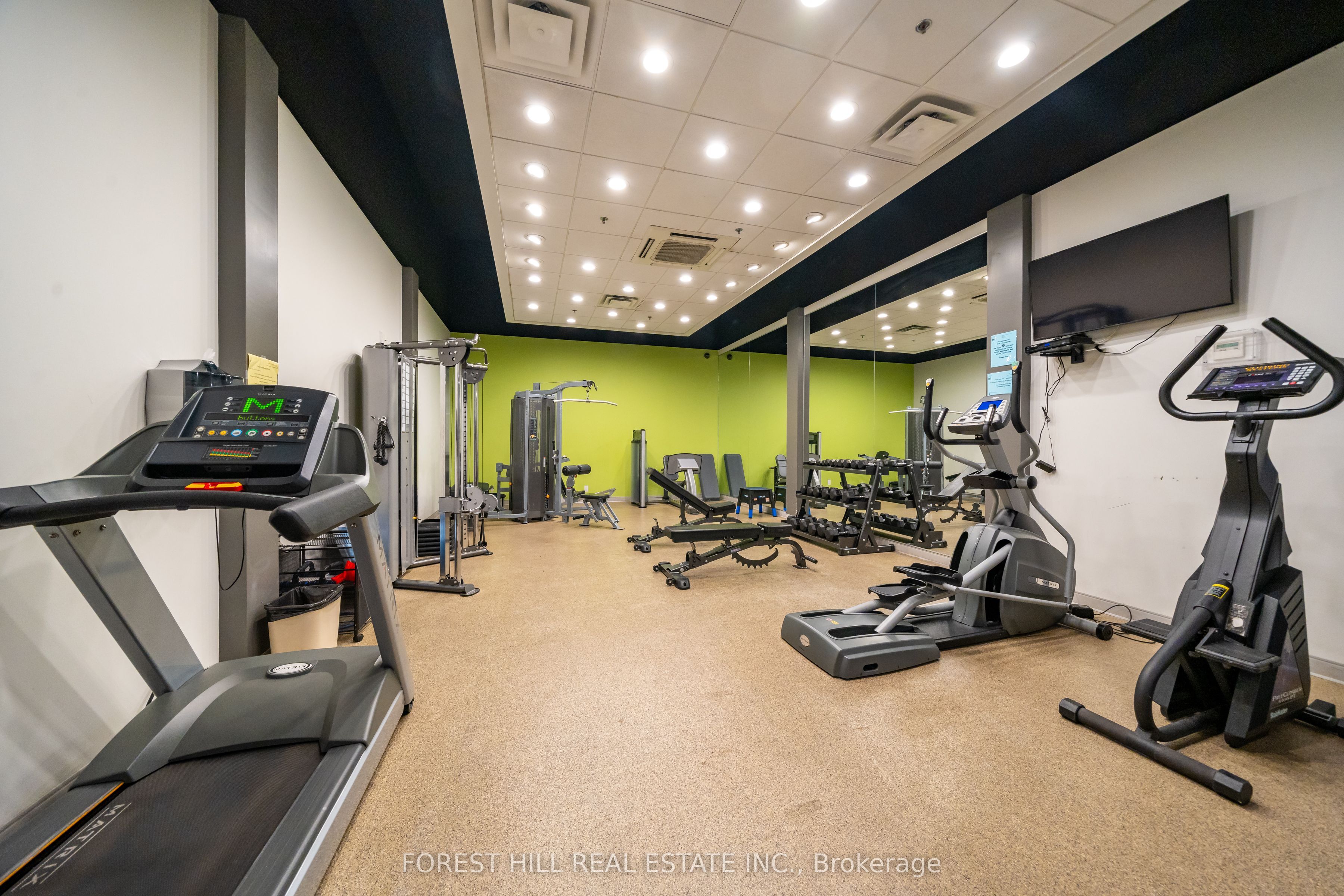 1055 Bay Street, #201
