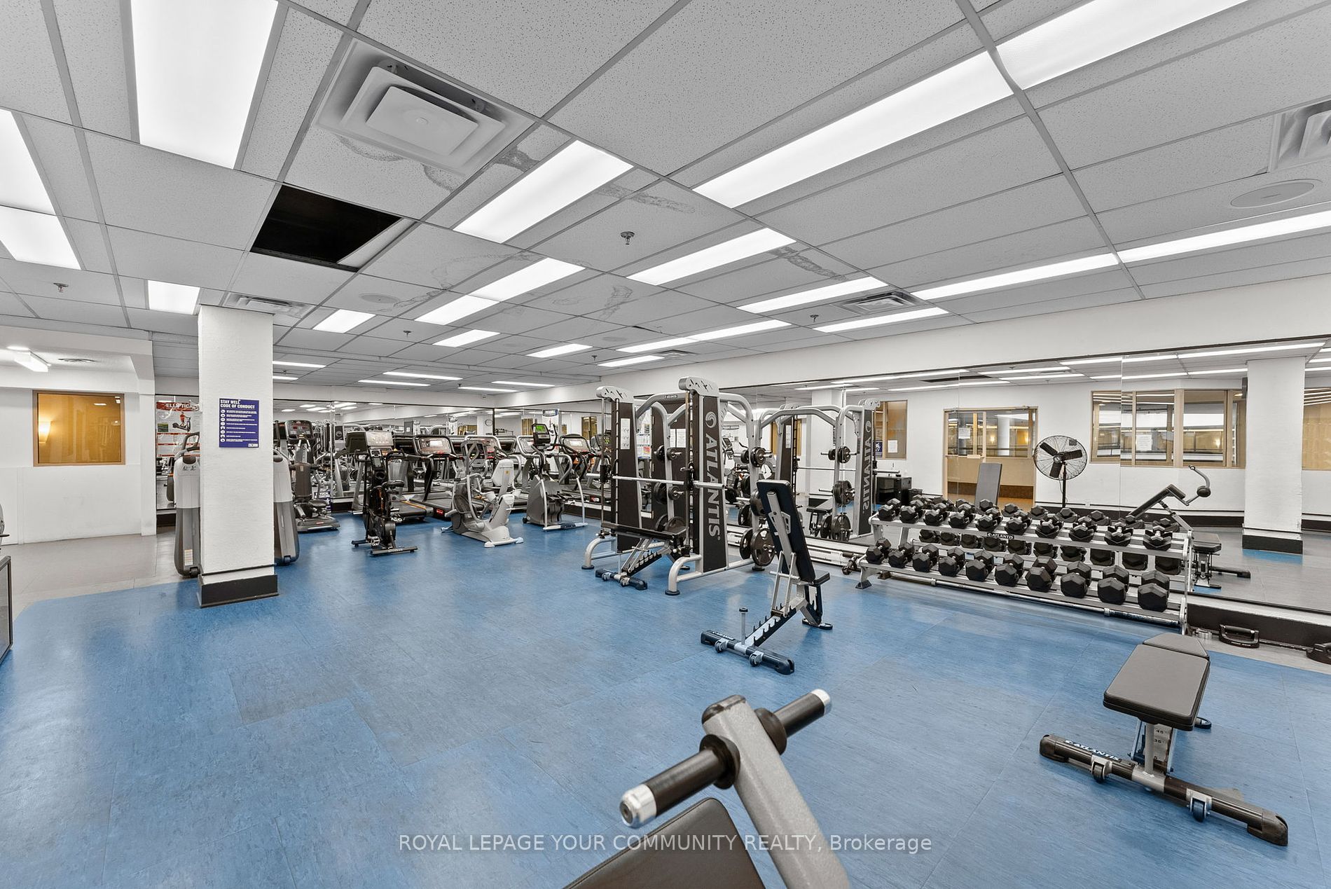 711 Bay Street, #1221