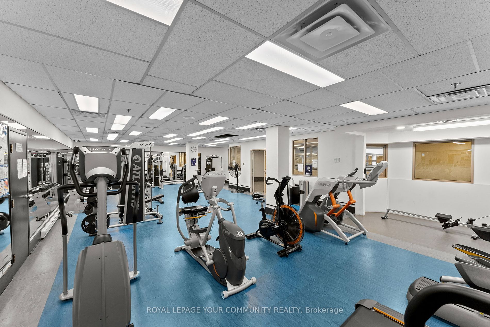711 Bay Street, #1221