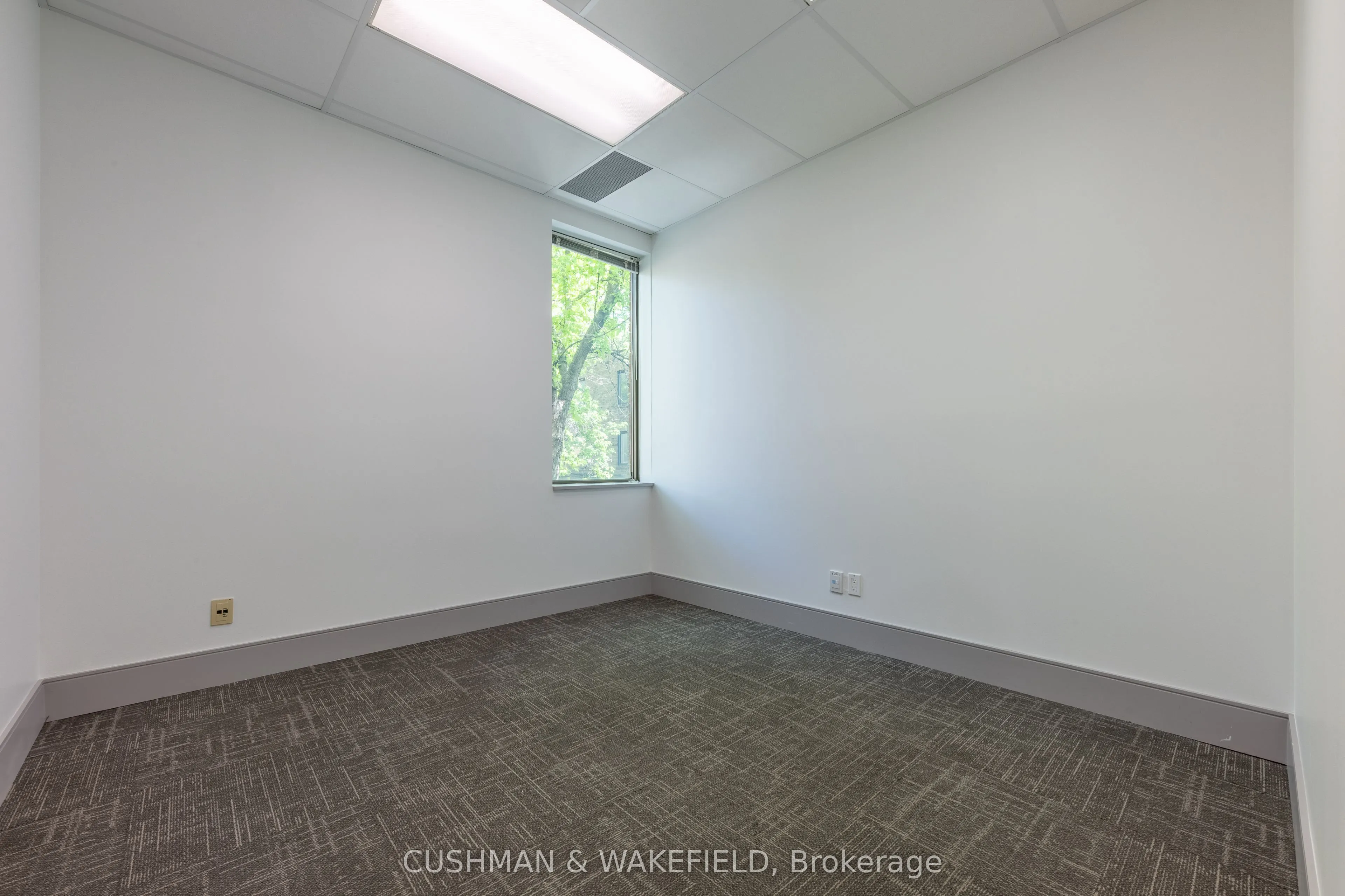439 Spadina Road, #310