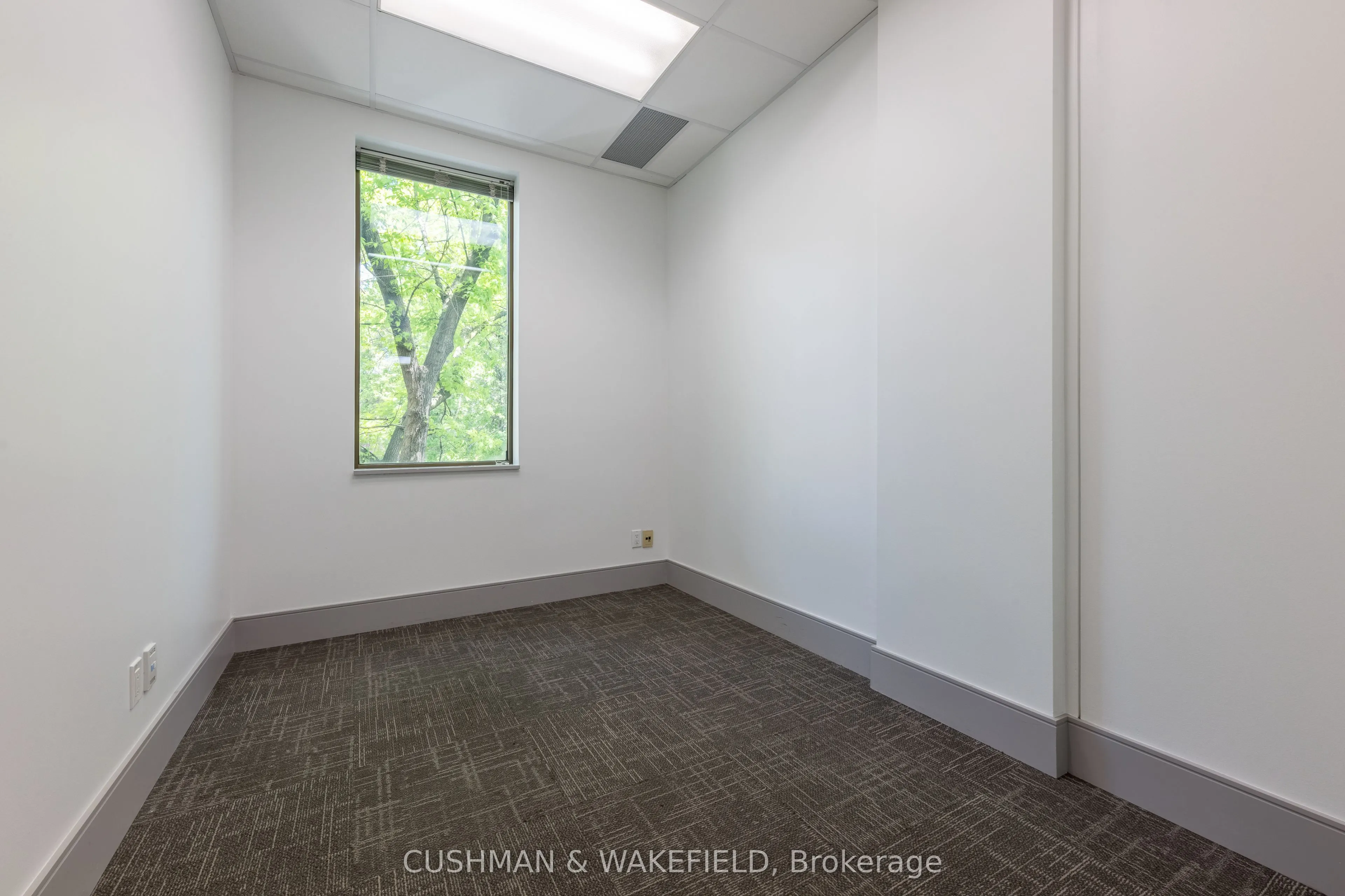 439 Spadina Road, #310