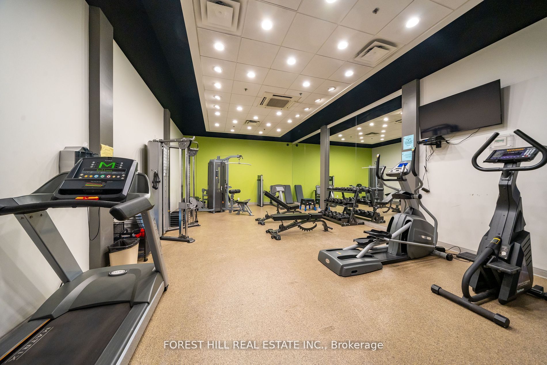 1055 Bay Street, #201