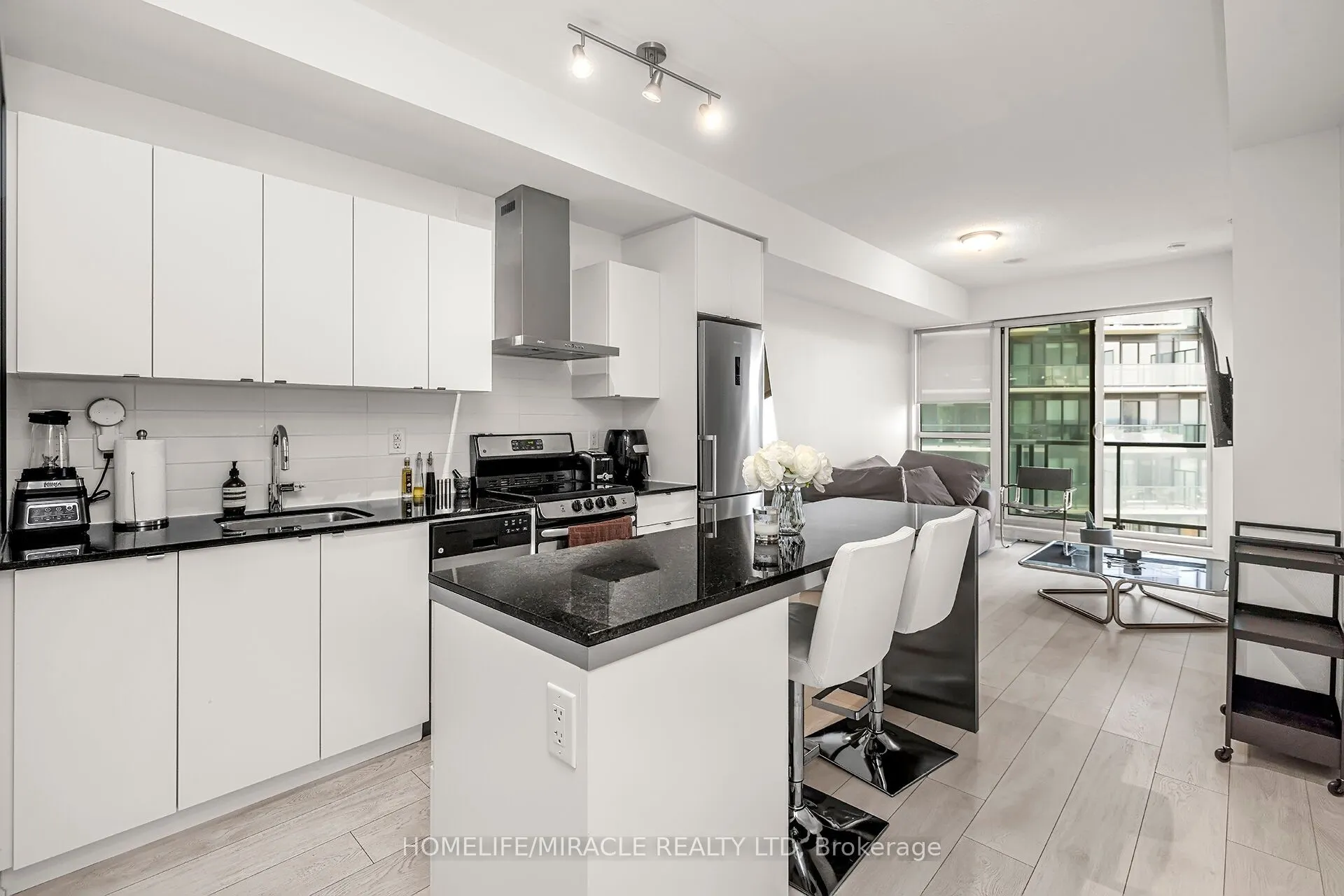 51 East Liberty Street, #1108