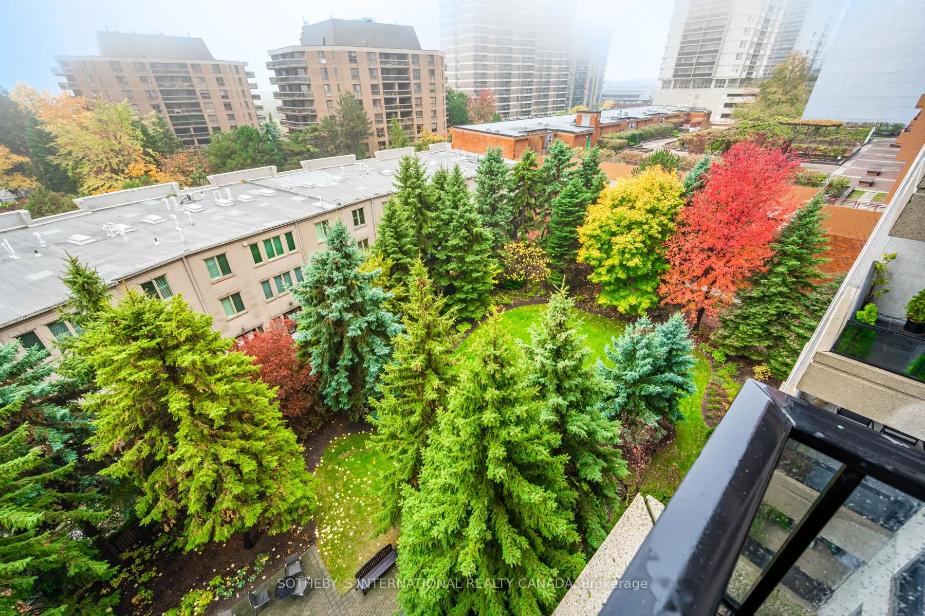 38 Avoca Avenue #704