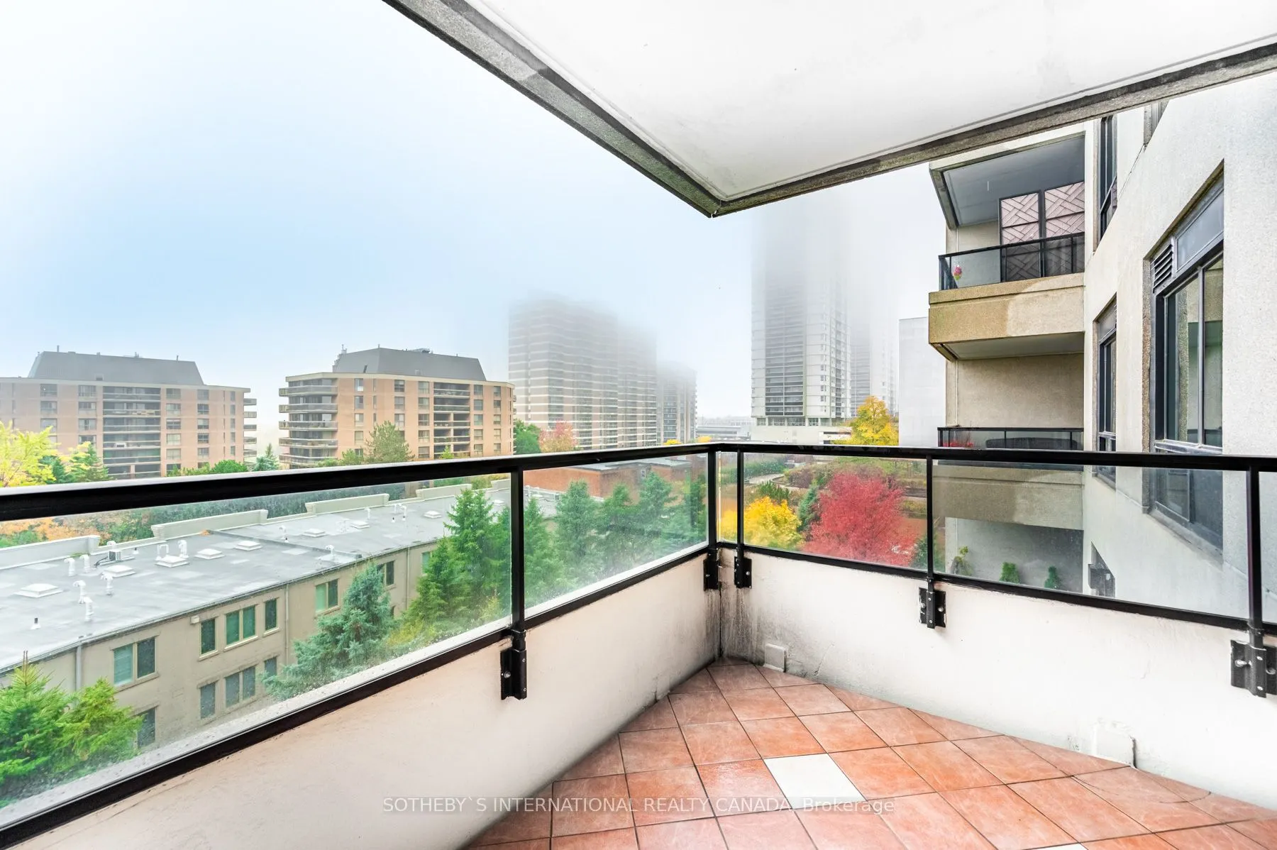 38 Avoca Avenue #704