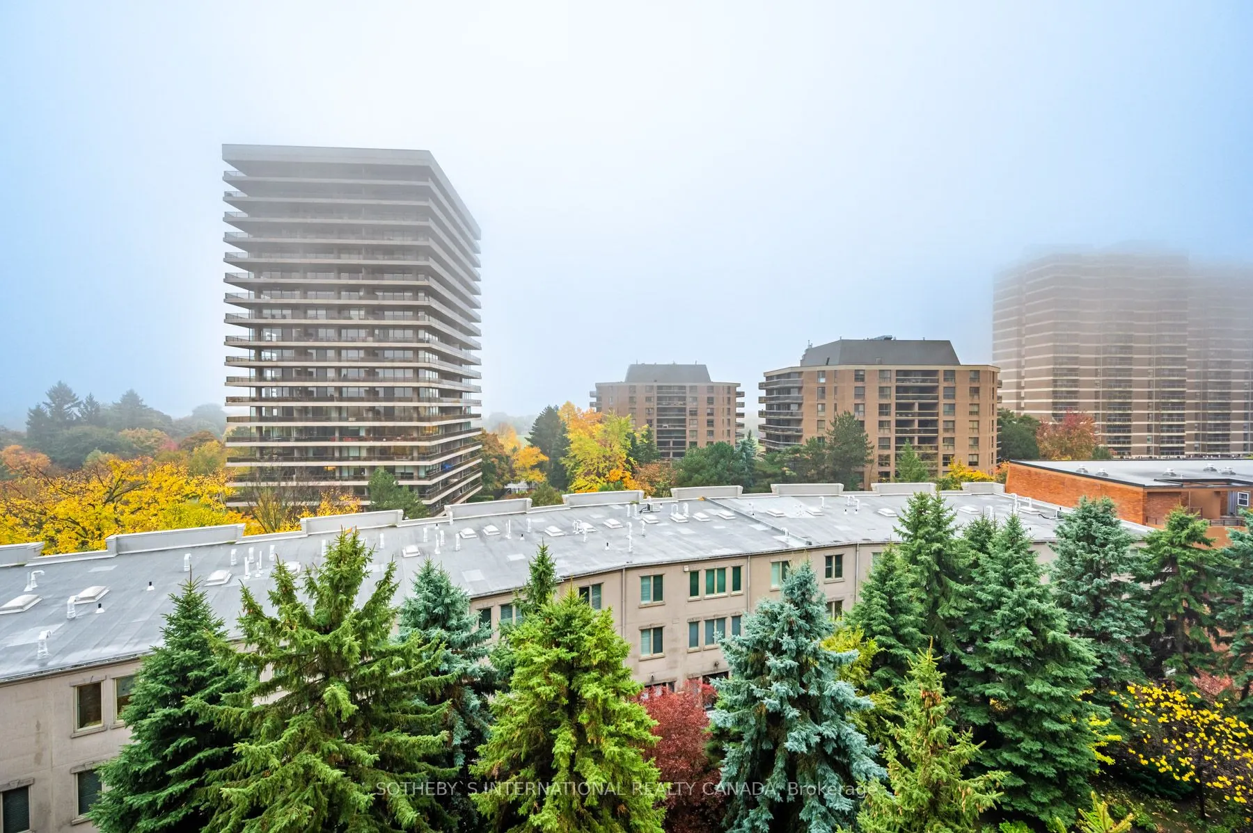 38 Avoca Avenue #704