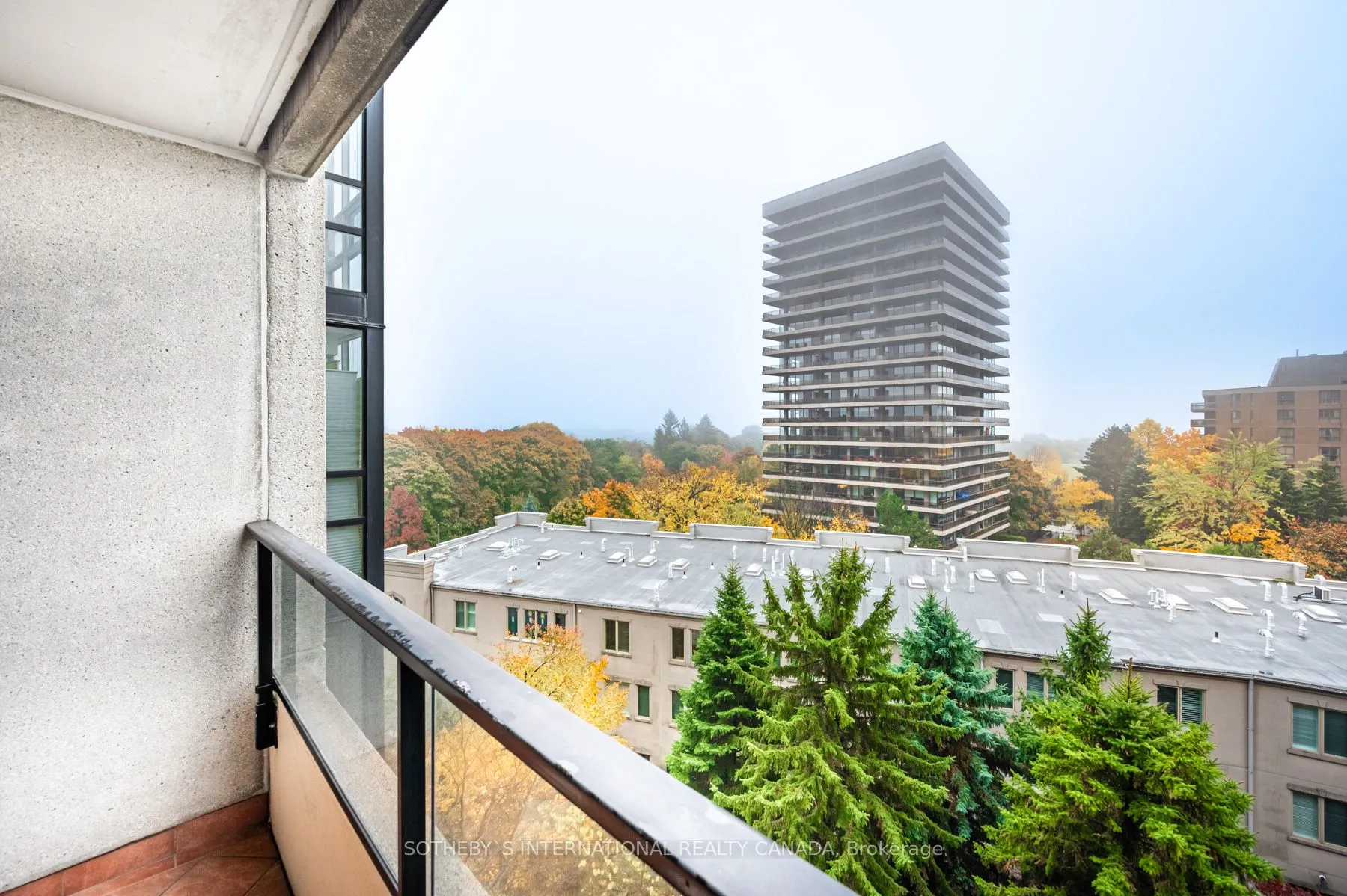38 Avoca Avenue #704
