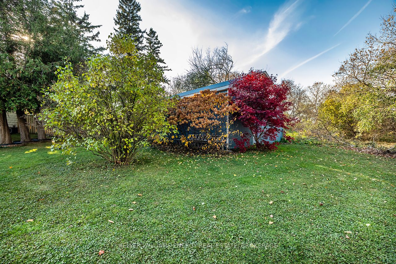 995 Cedar Street