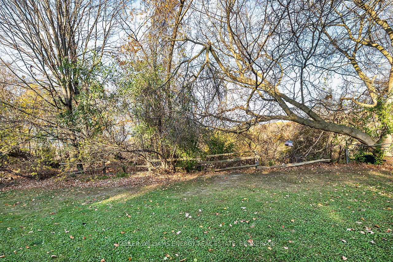 995 Cedar Street