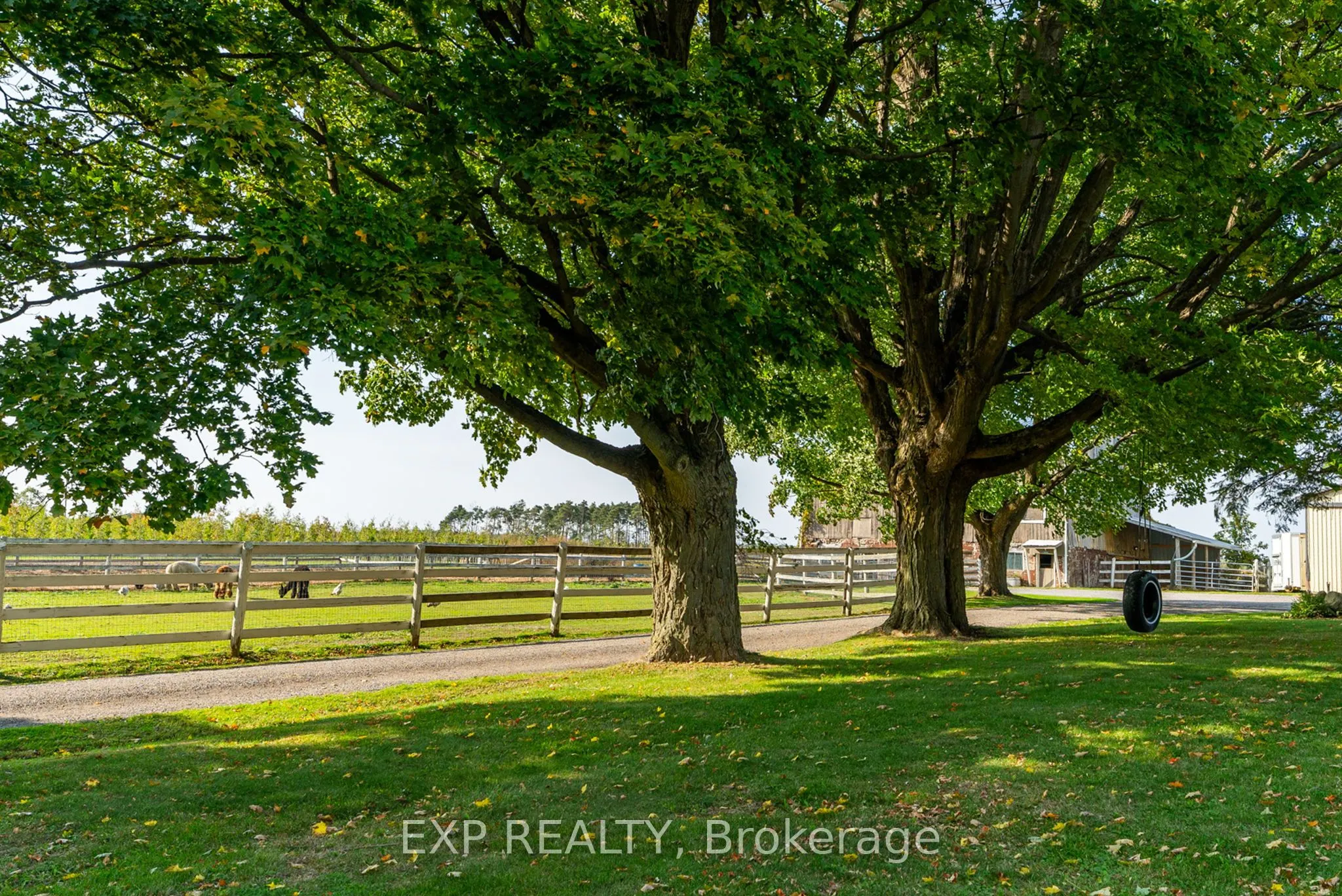 772 Townline Road W