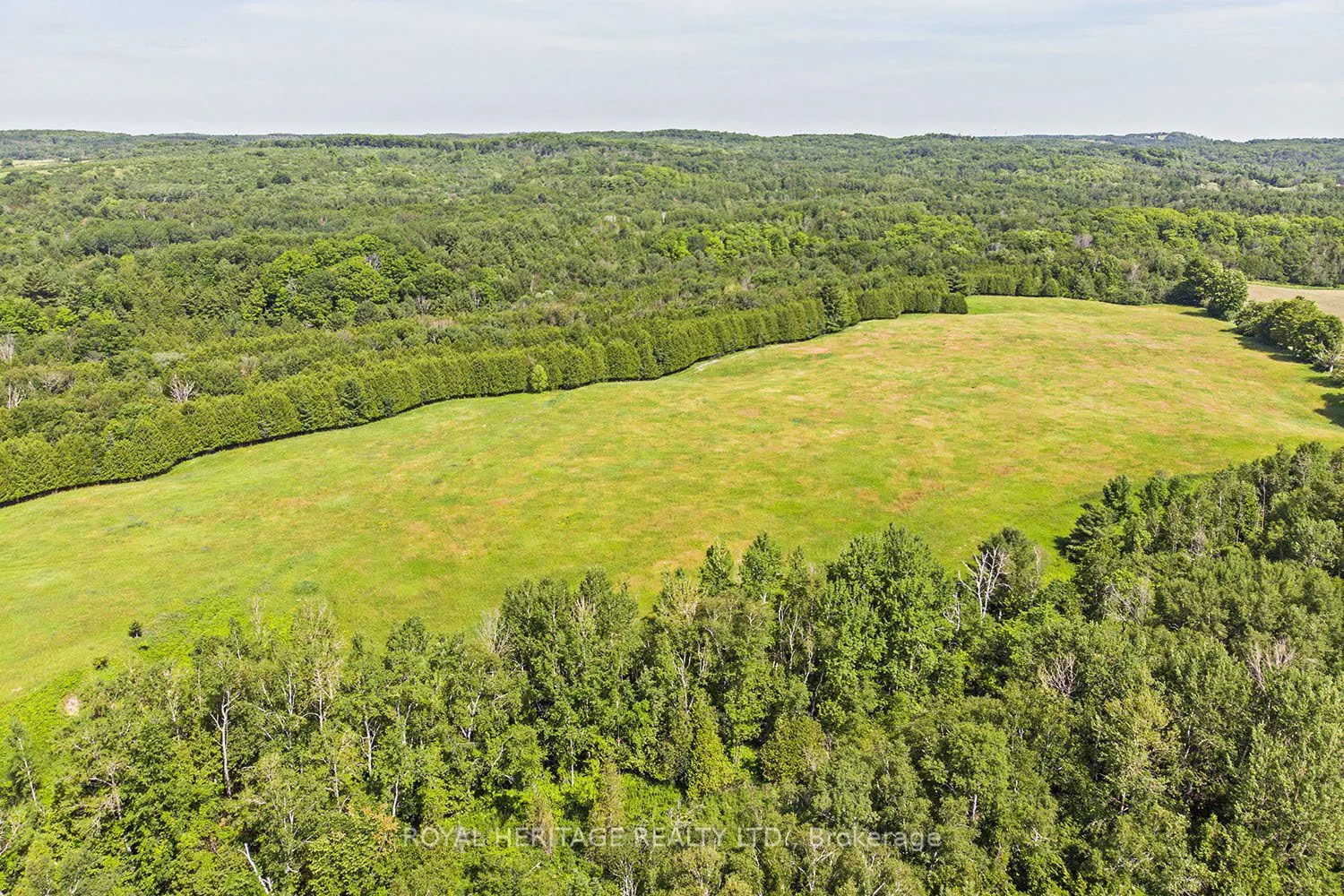 2950 9th Concession Road
