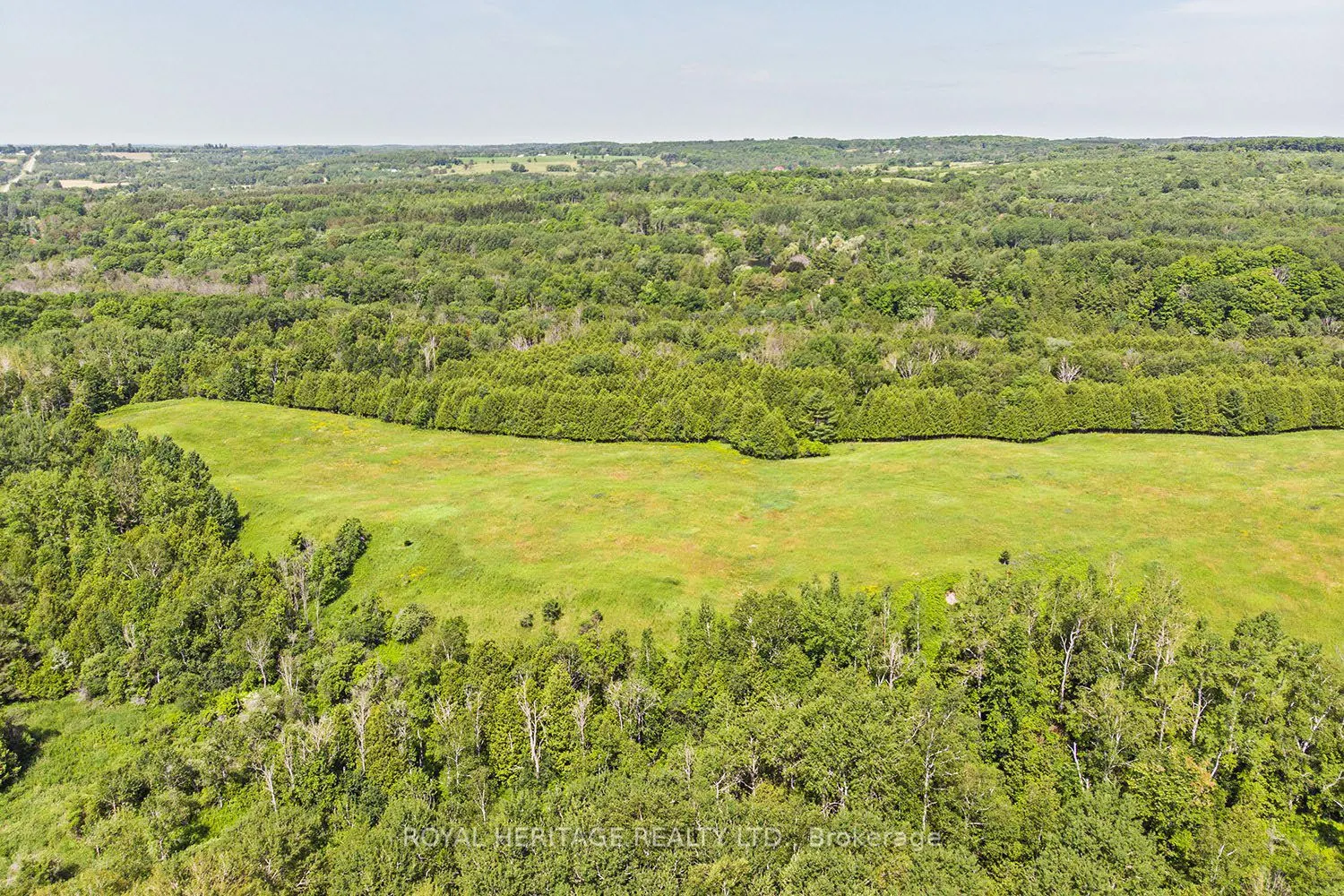 2950 9th Concession Road