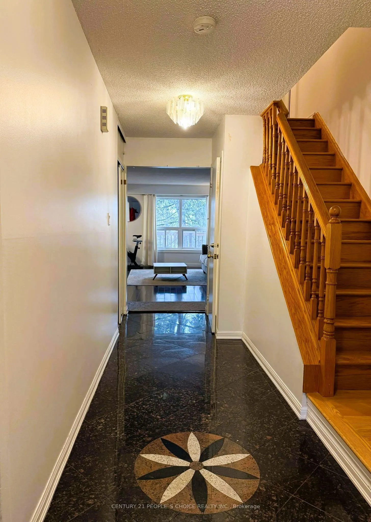 101 Dundalk Drive, #1