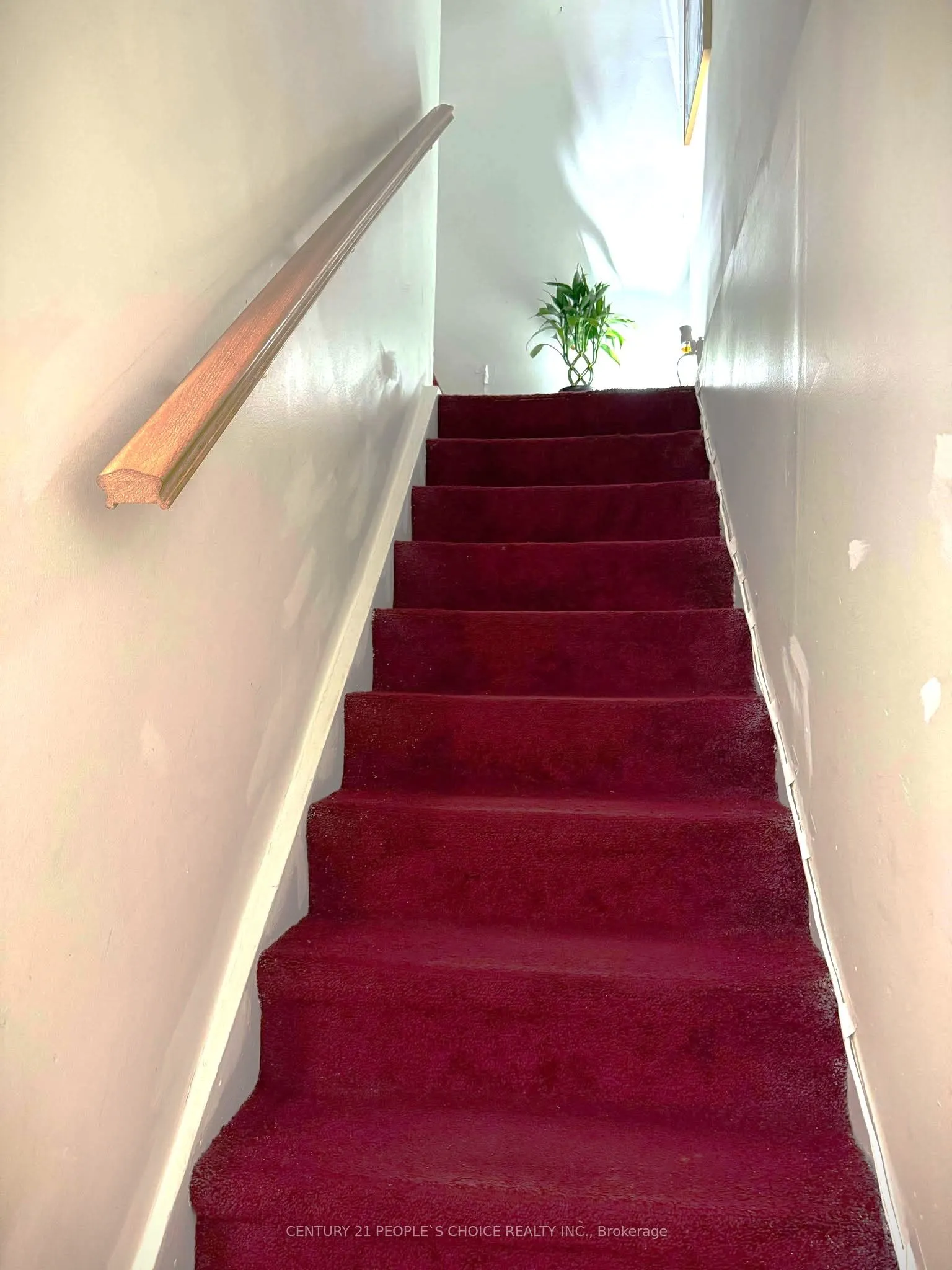 101 Dundalk Drive, #1
