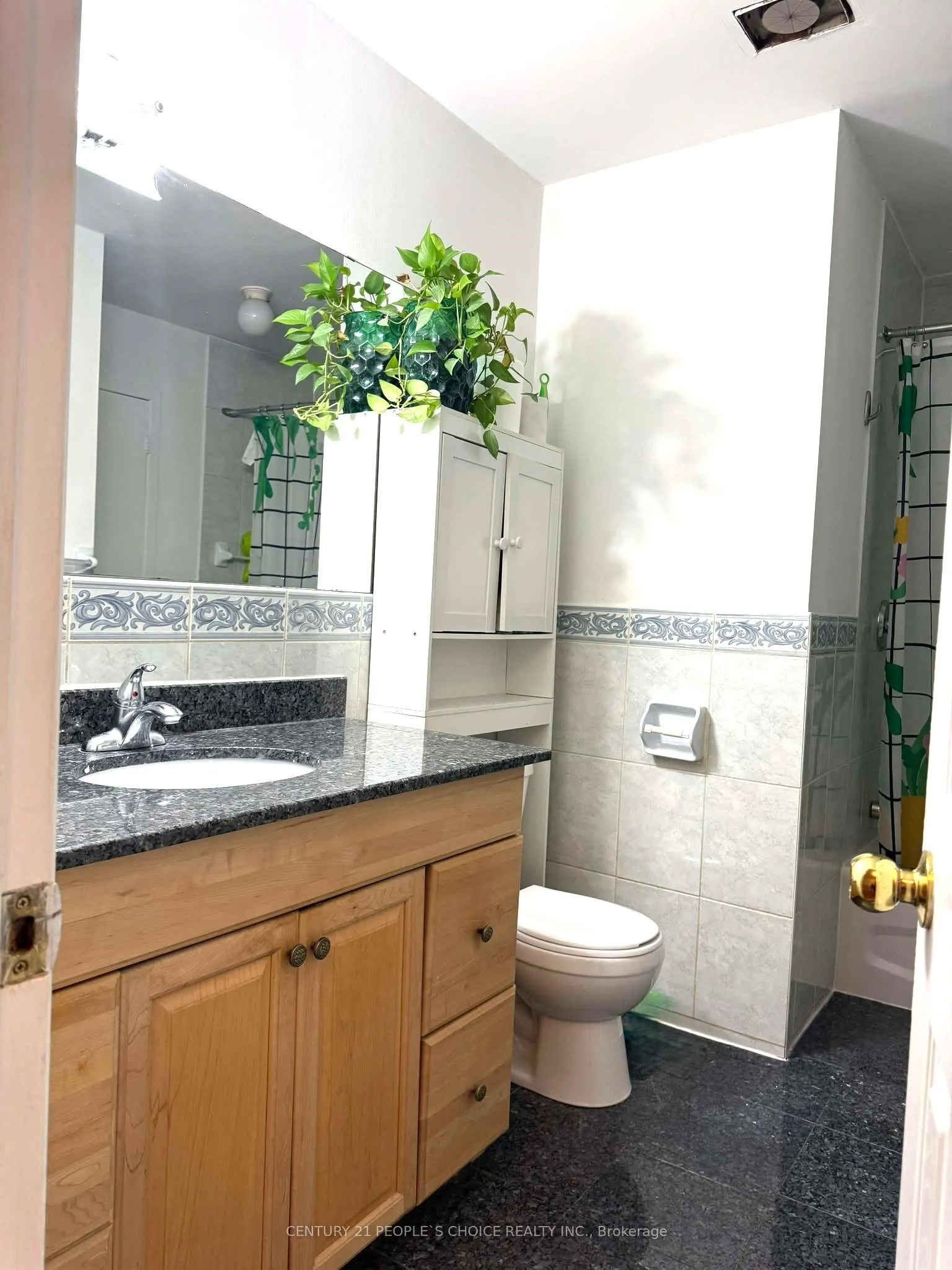 101 Dundalk Drive, #1
