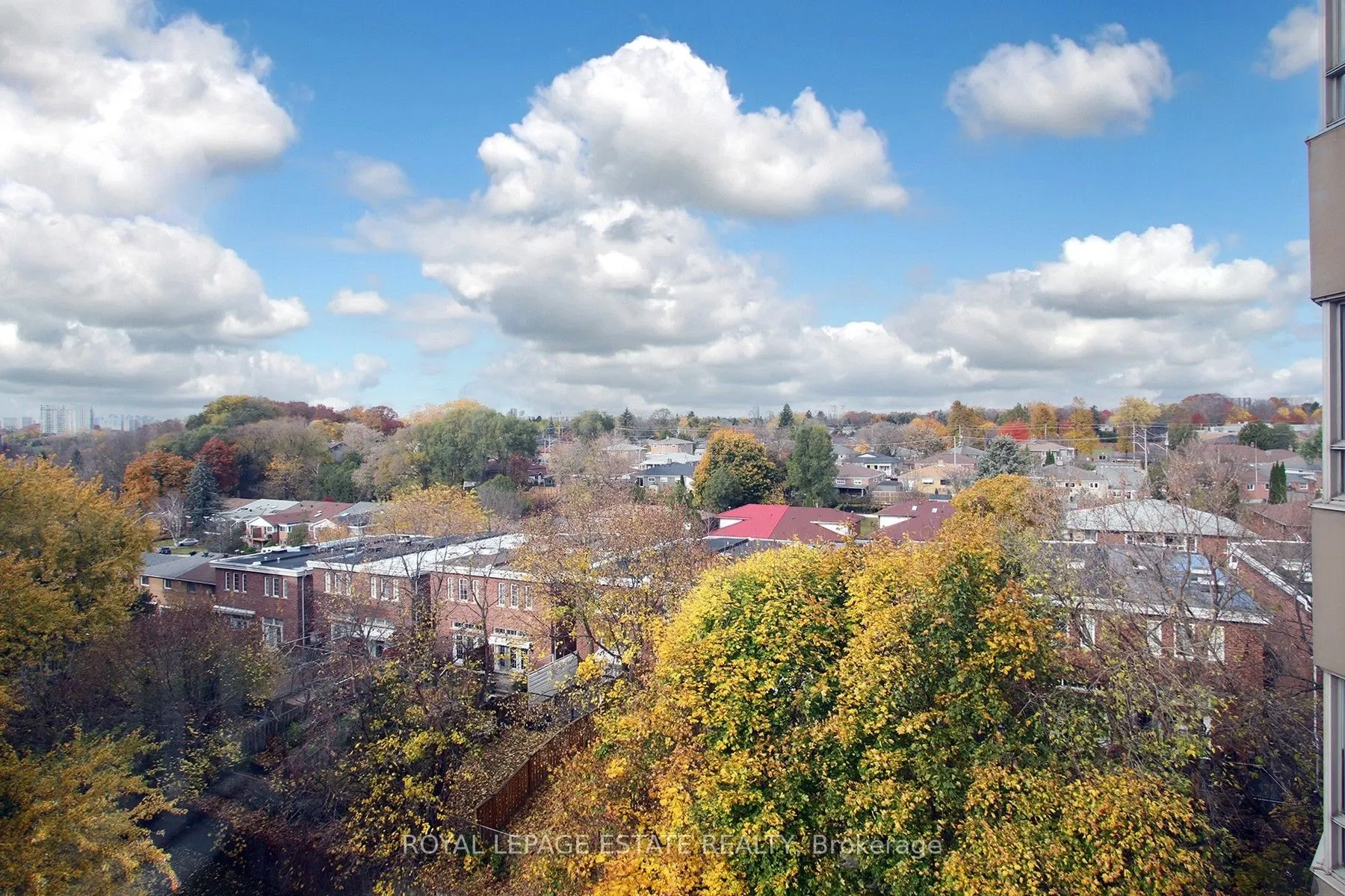 4 Park Vista #1006