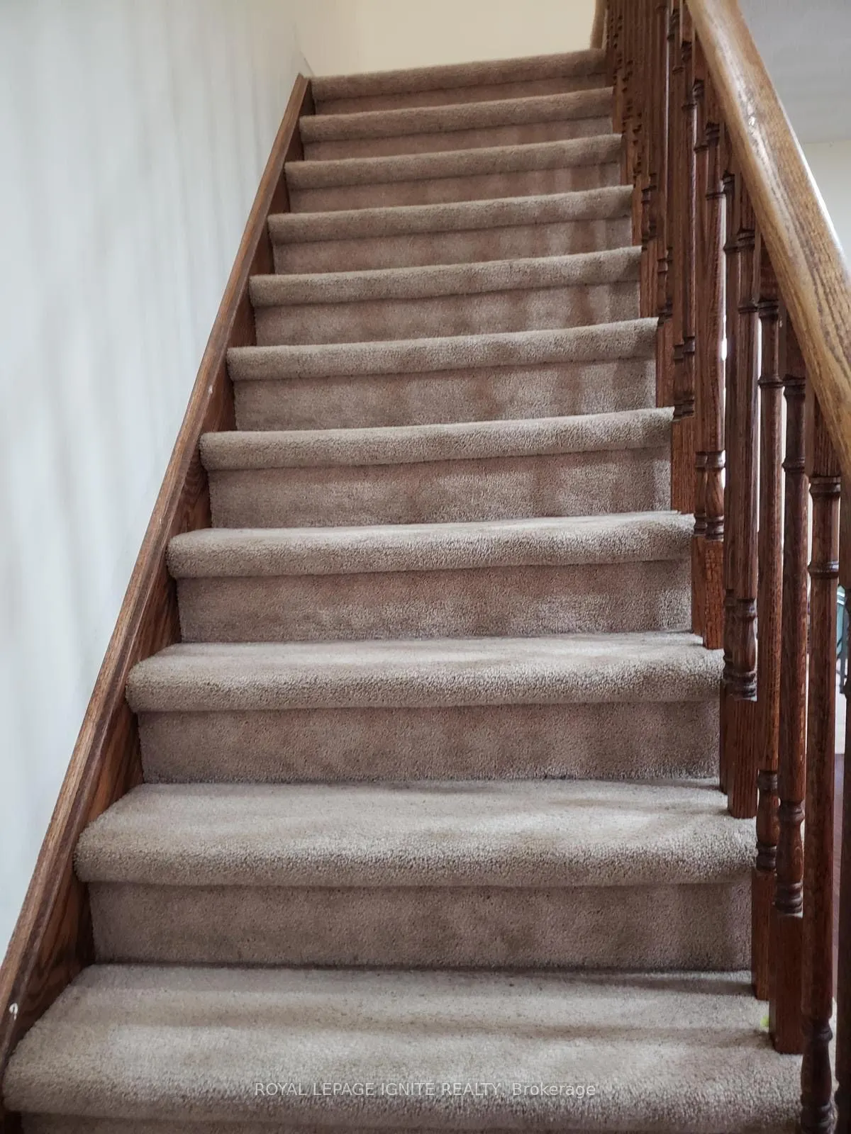 11 Curran Hall Crescent