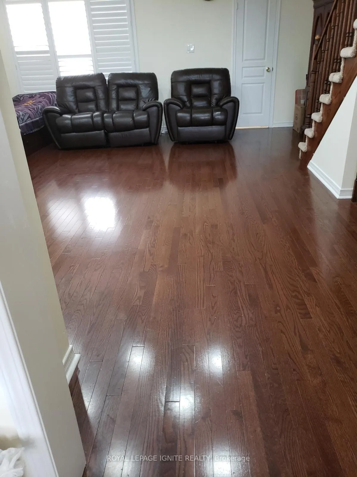 11 Curran Hall Crescent