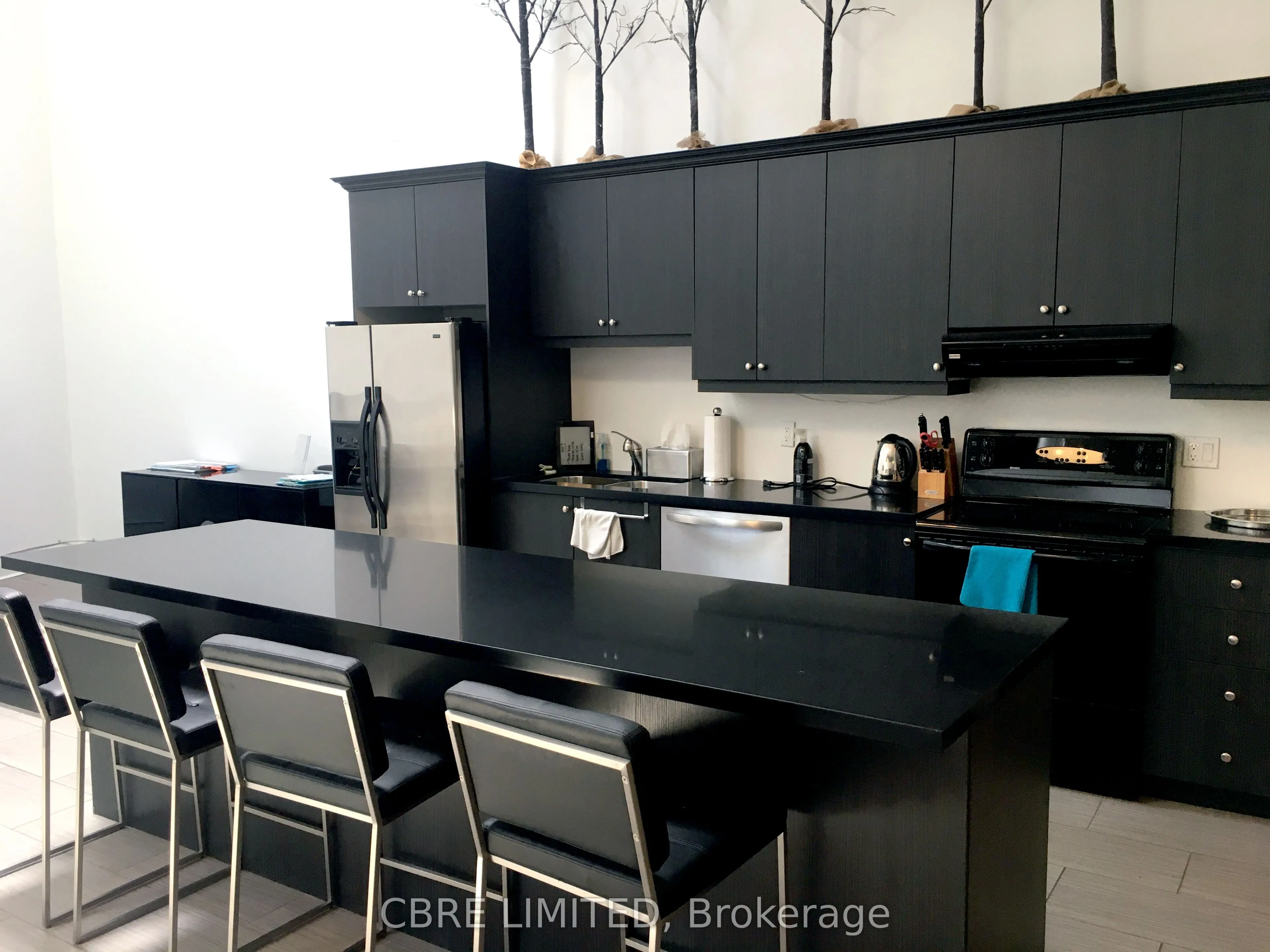 11 Carlaw Avenue, #8