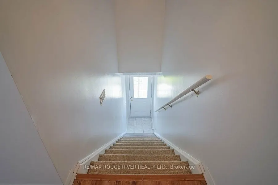 262 Bruce Street, #3