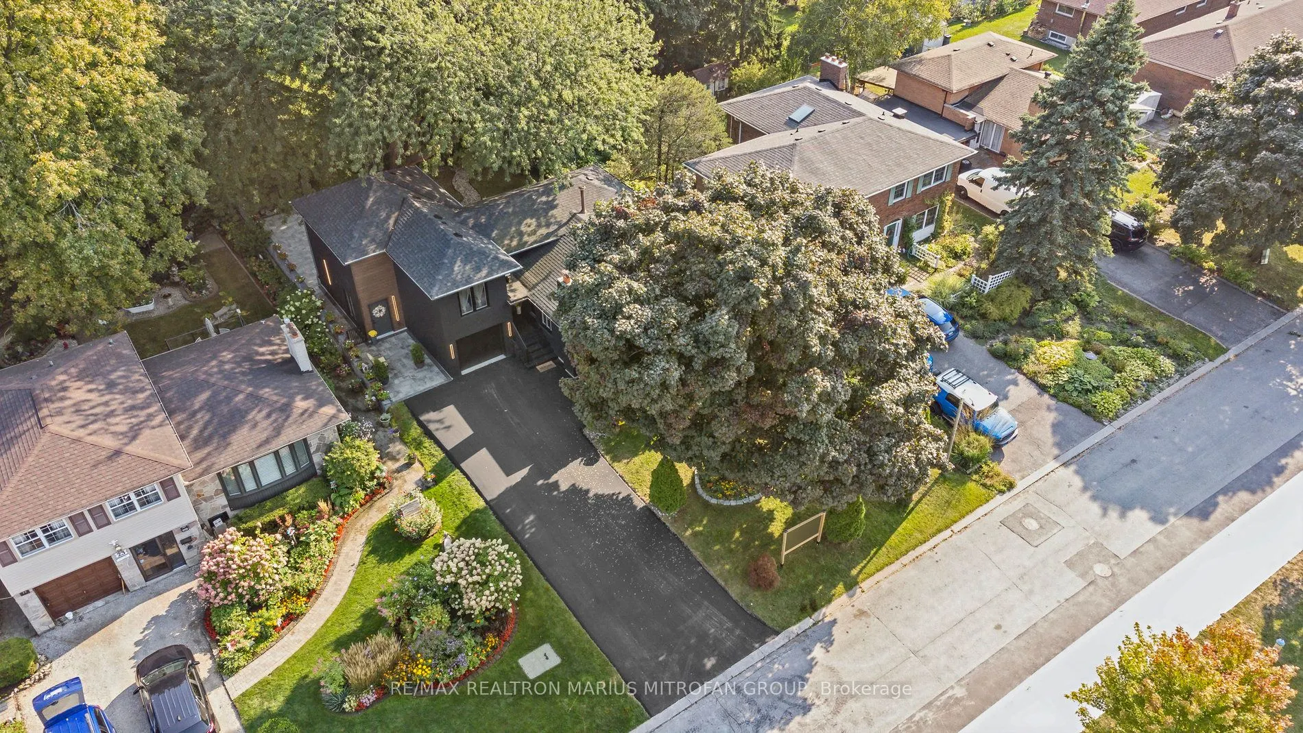 21 Toynbee Trail