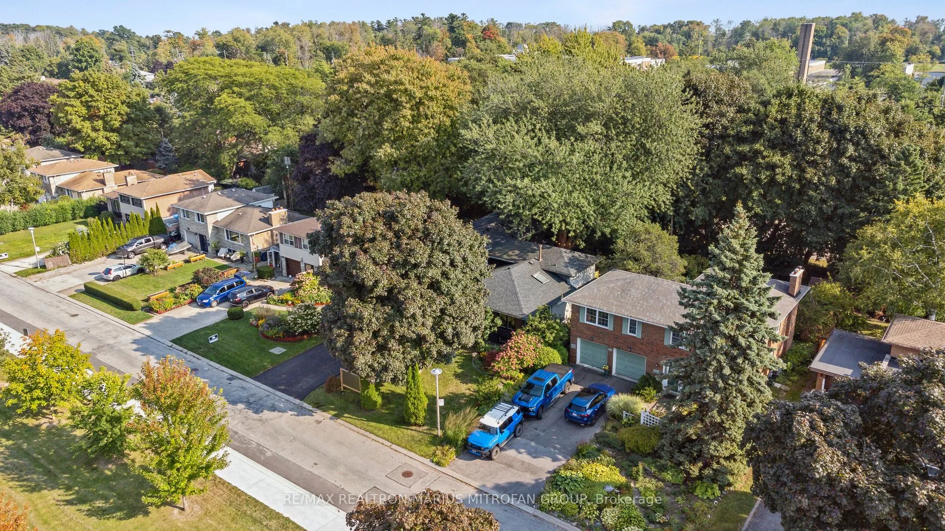 21 Toynbee Trail