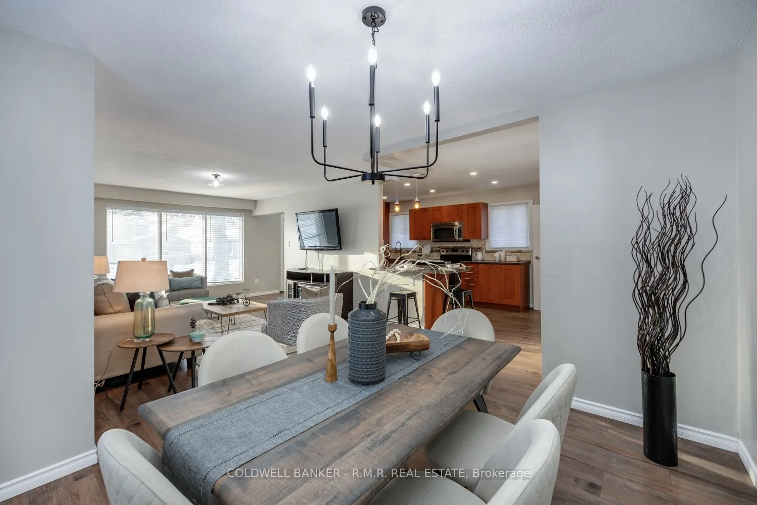 415 Safari Drive
