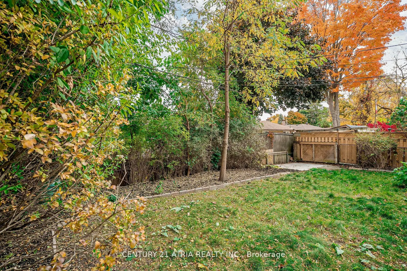 11 Valia Road