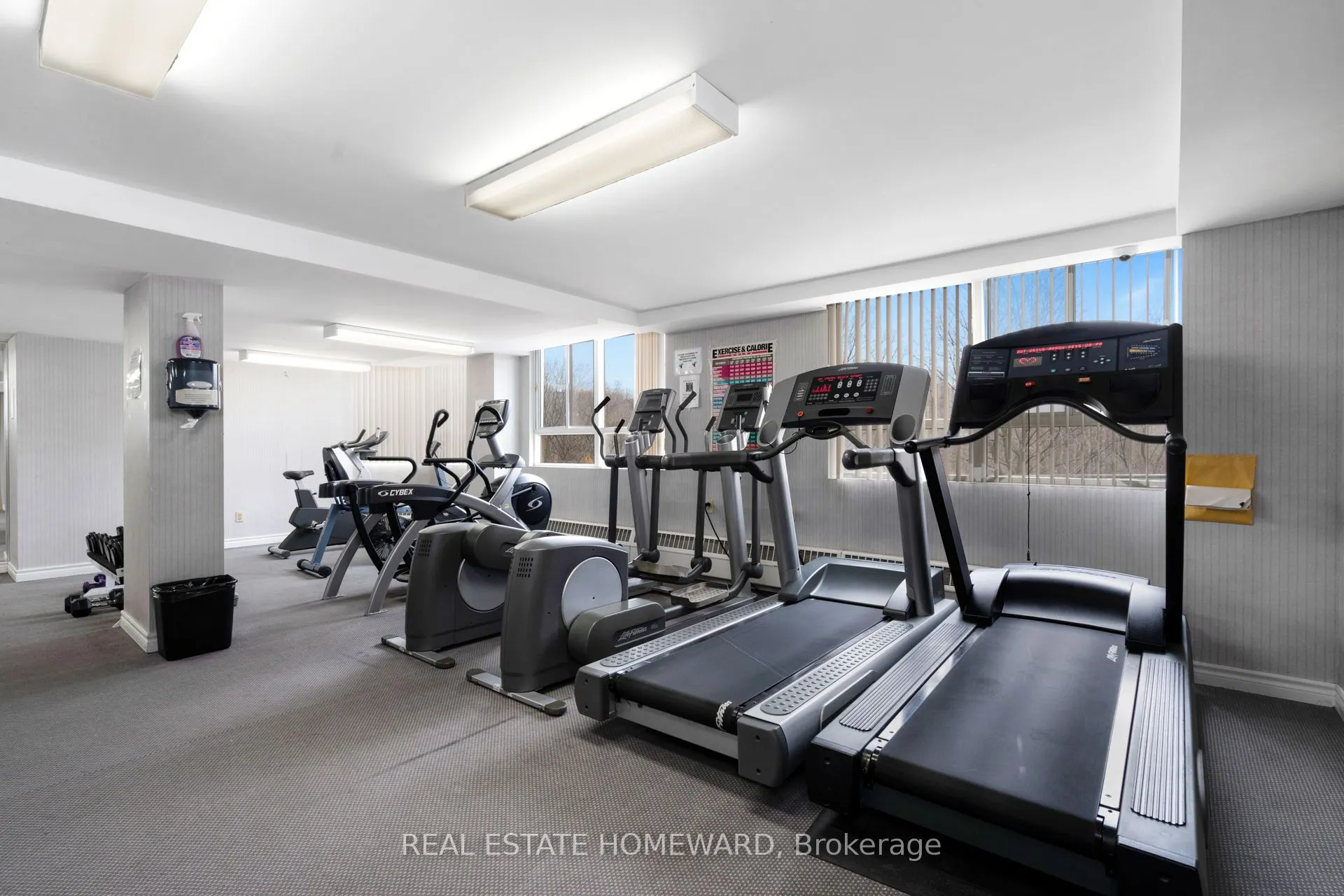 4 Park Vista Drive, #1413