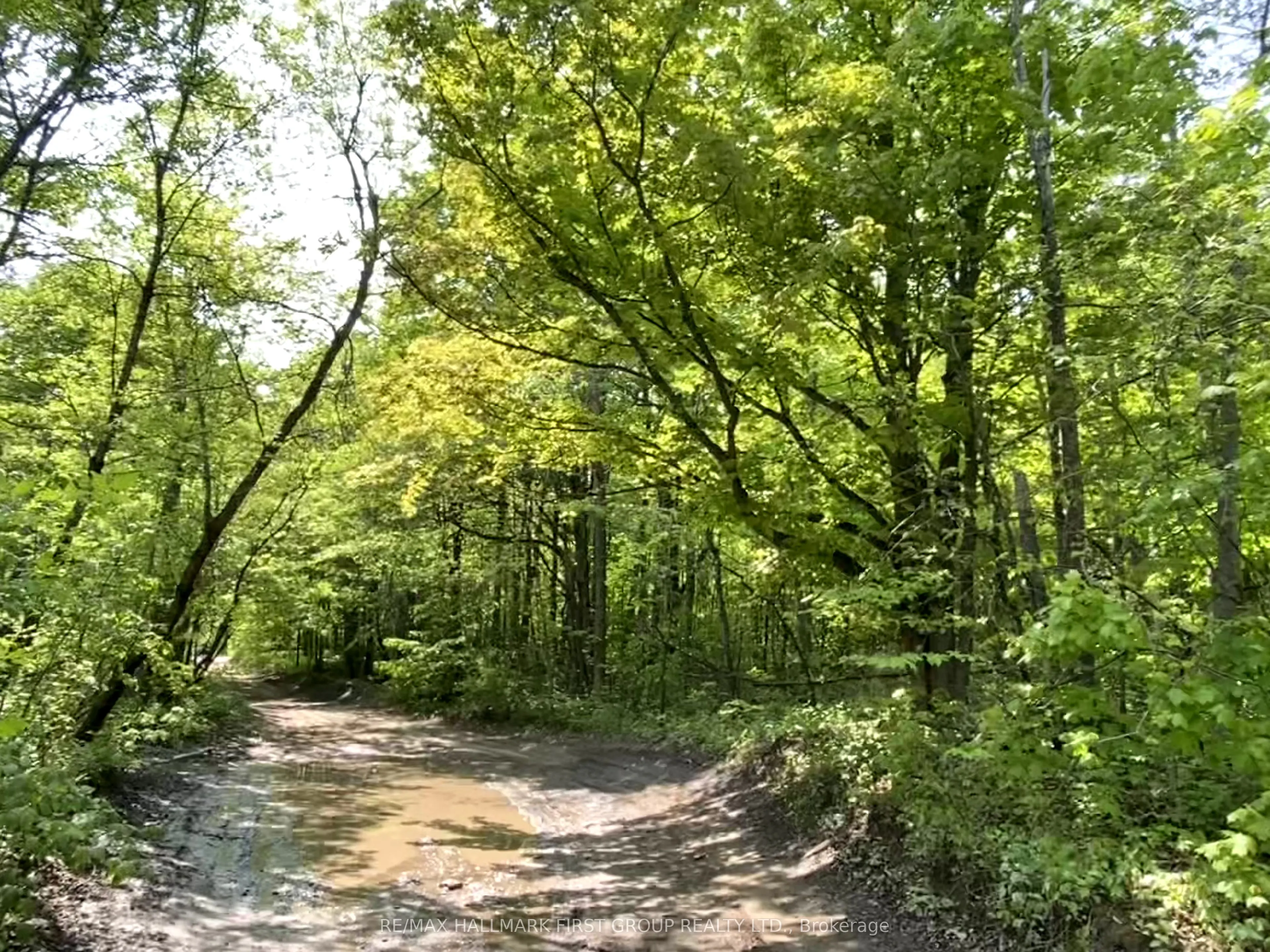 Boundary Road