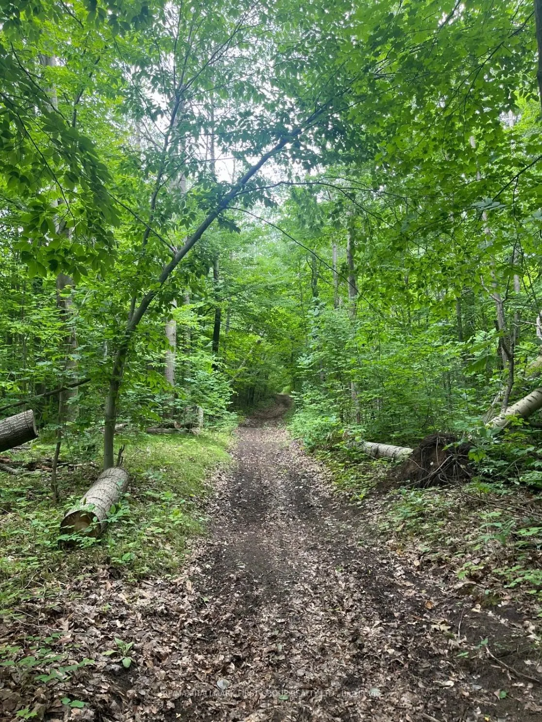 Boundary Road