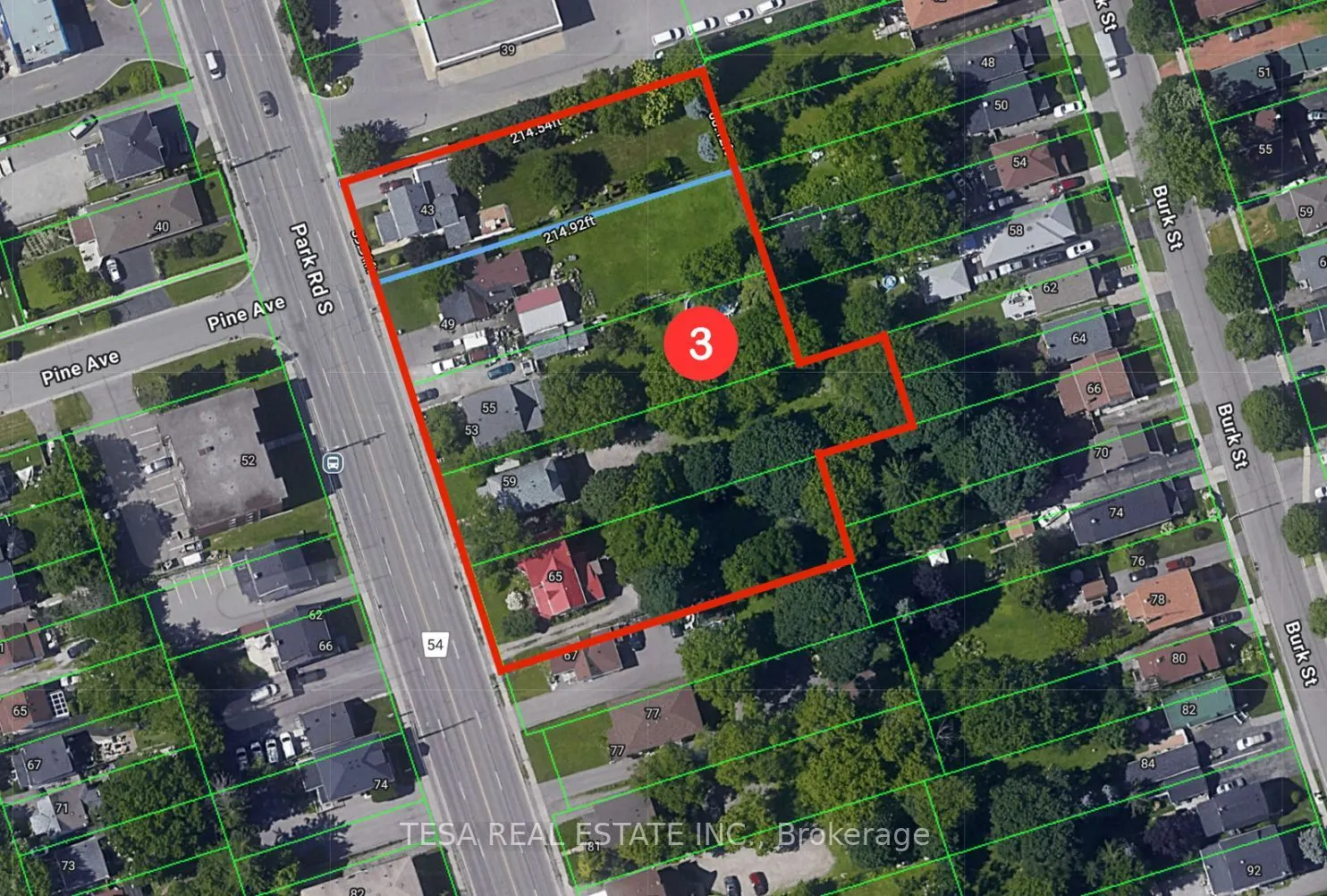 55 Park Road S