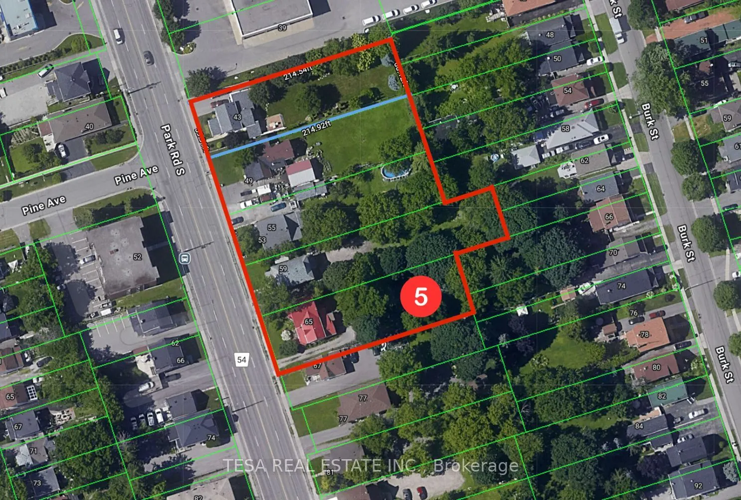 65 Park Road S