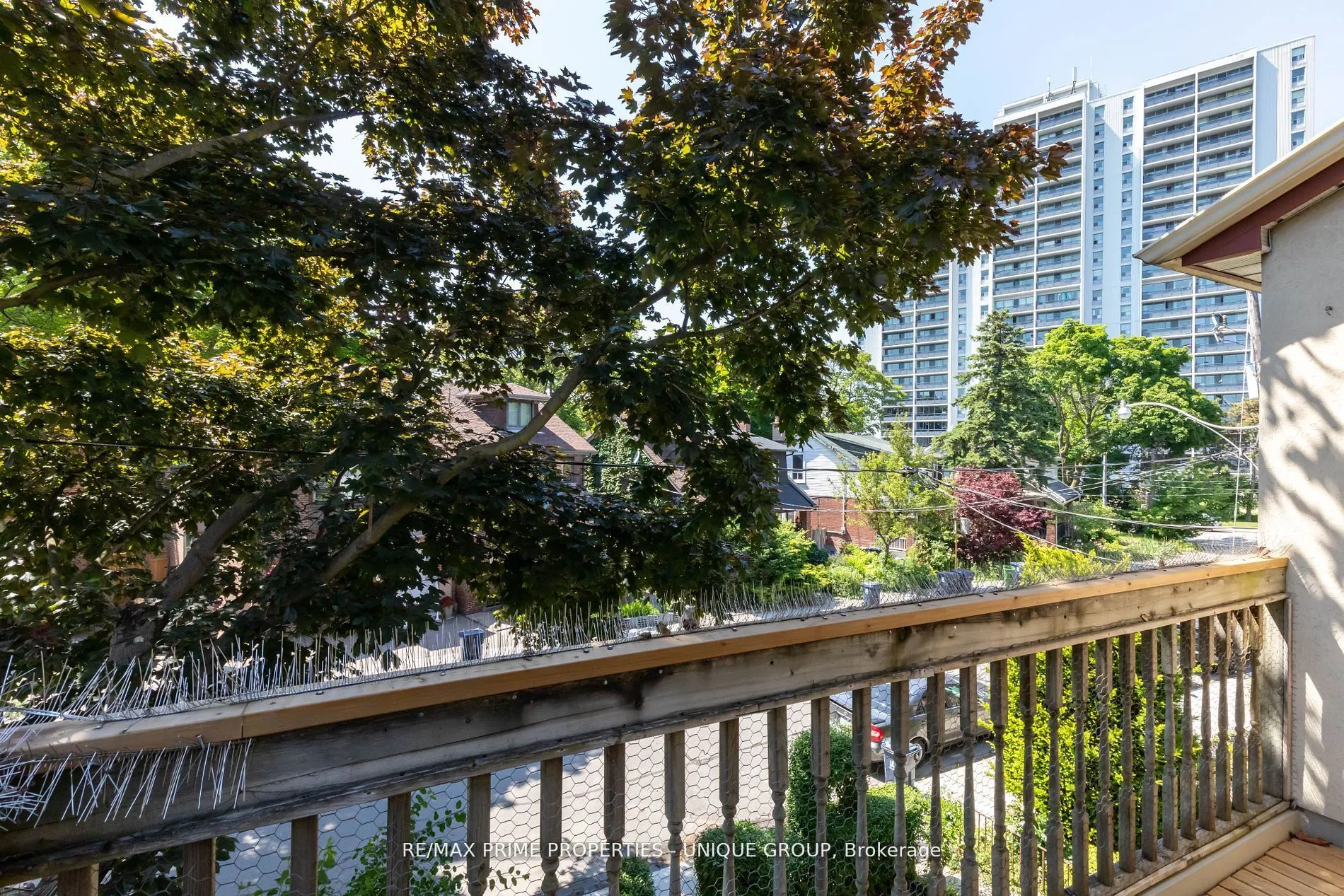 21 Cambridge Avenue