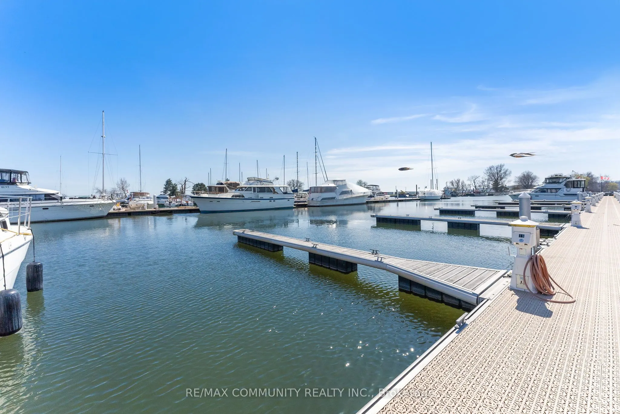 1295 Wharf Street, #19