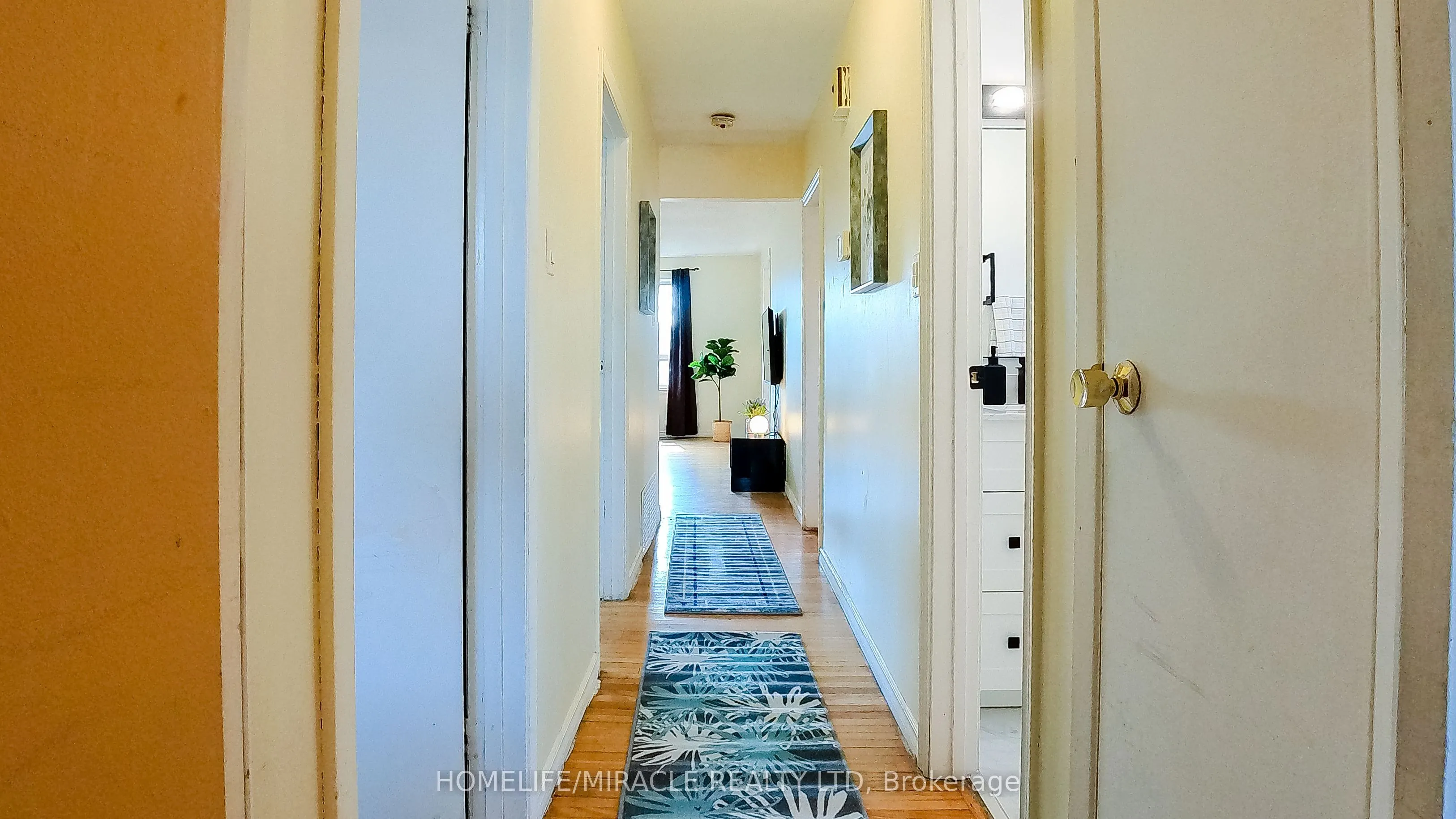 897 Antonio Street